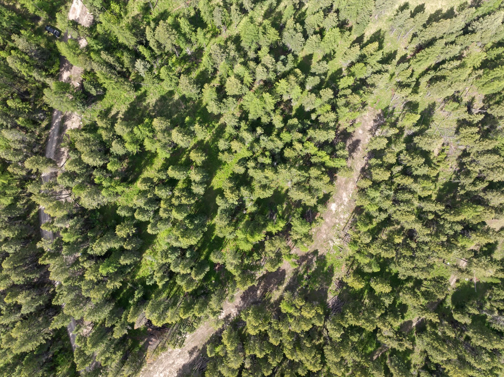 439 Buffalo Trail Property Photo 1