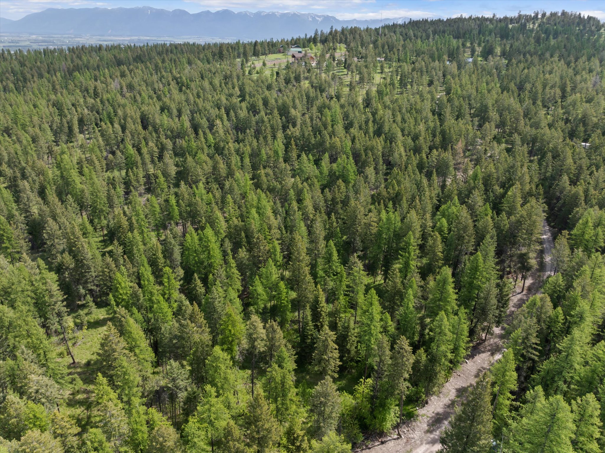 439 Buffalo Trail Property Photo 2