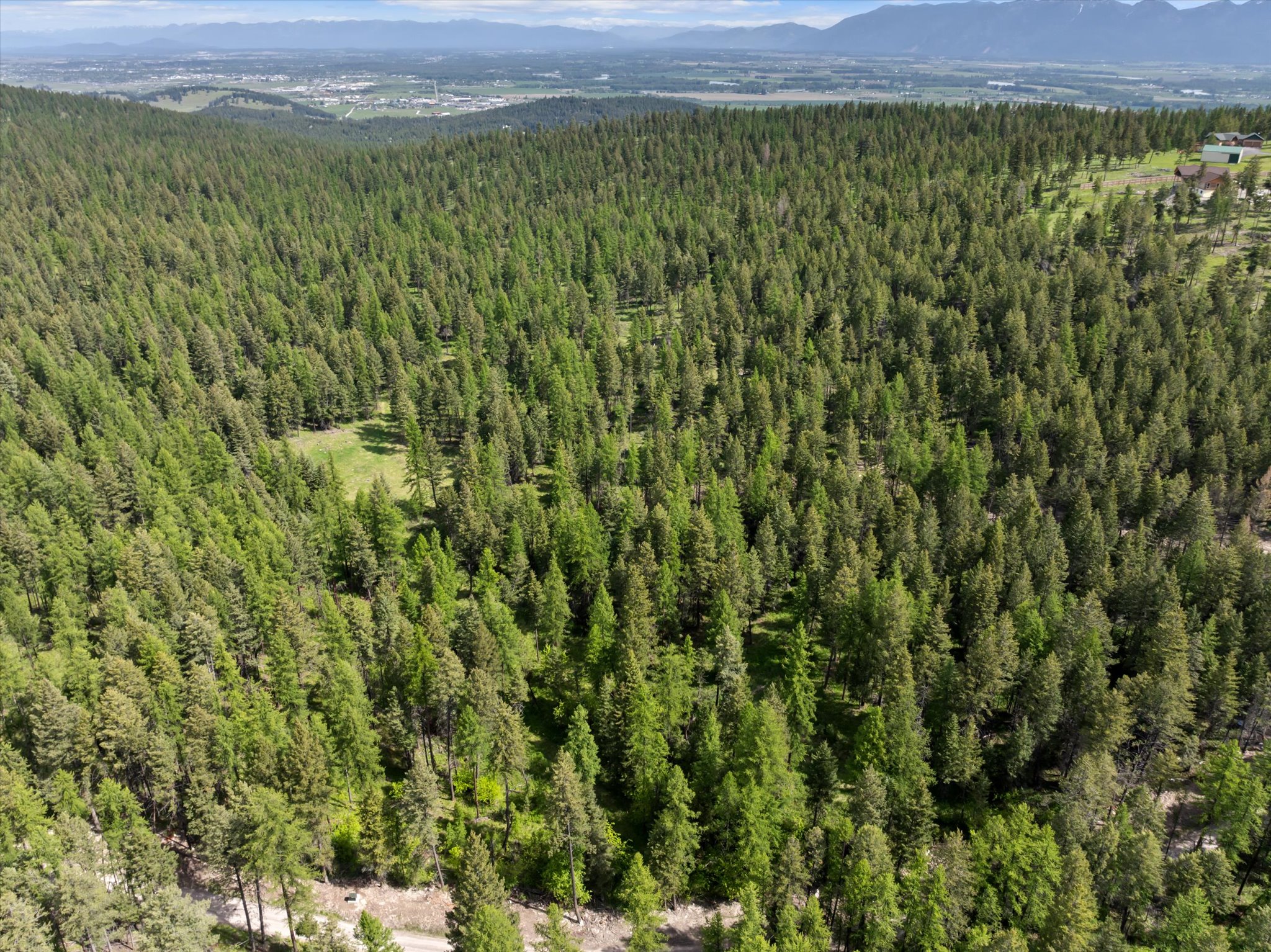 439 Buffalo Trail Property Photo 3