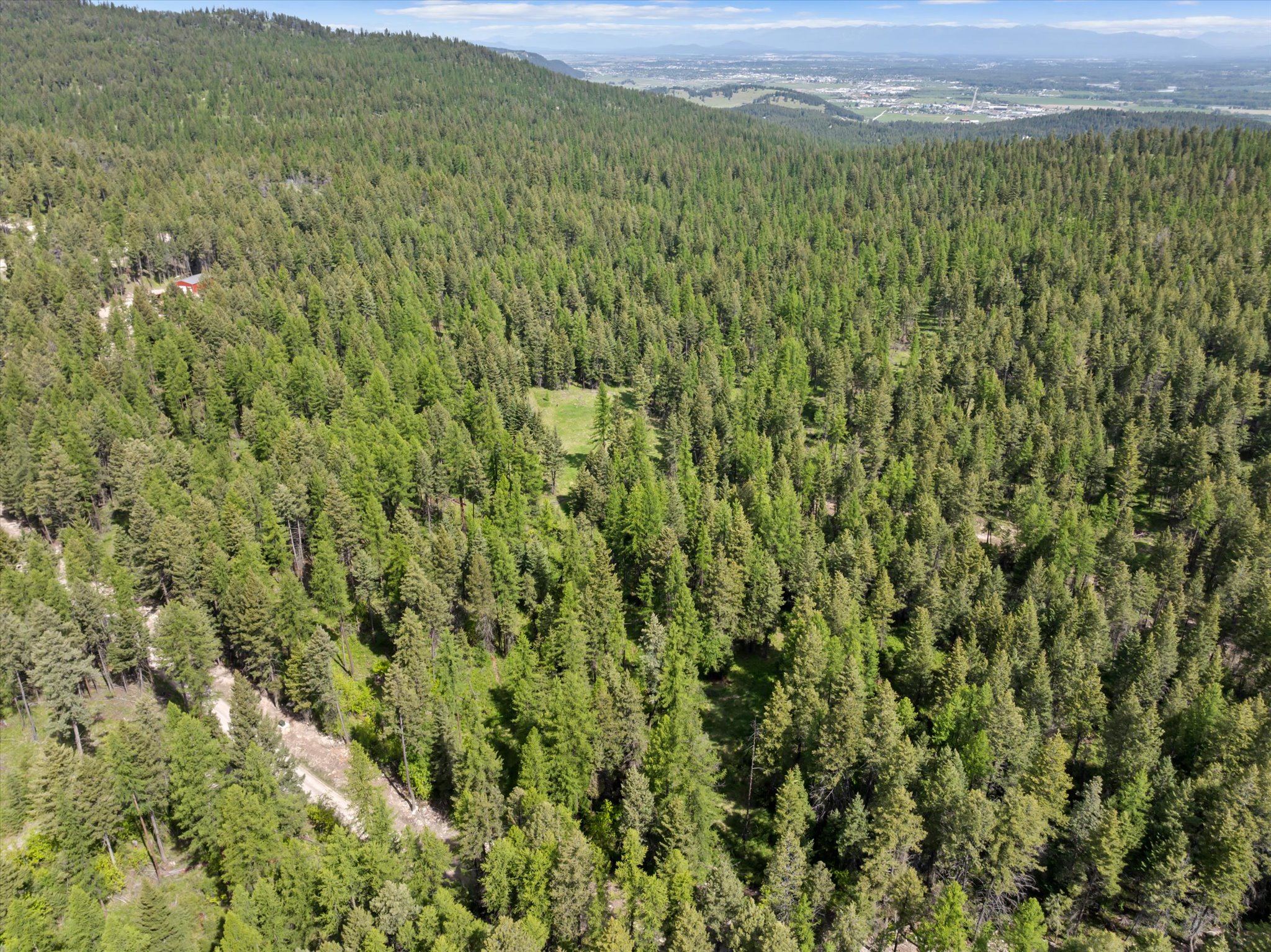 439 Buffalo Trail Property Photo 4