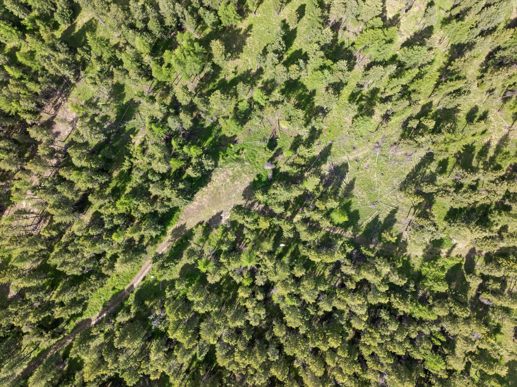 439 Buffalo Trail Property Photo 5