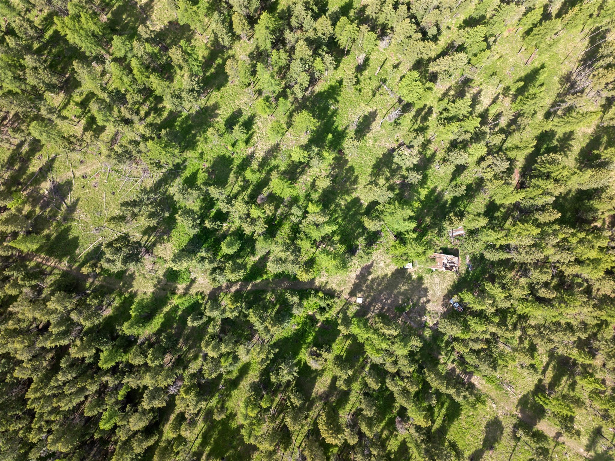 439 Buffalo Trail Property Photo 6