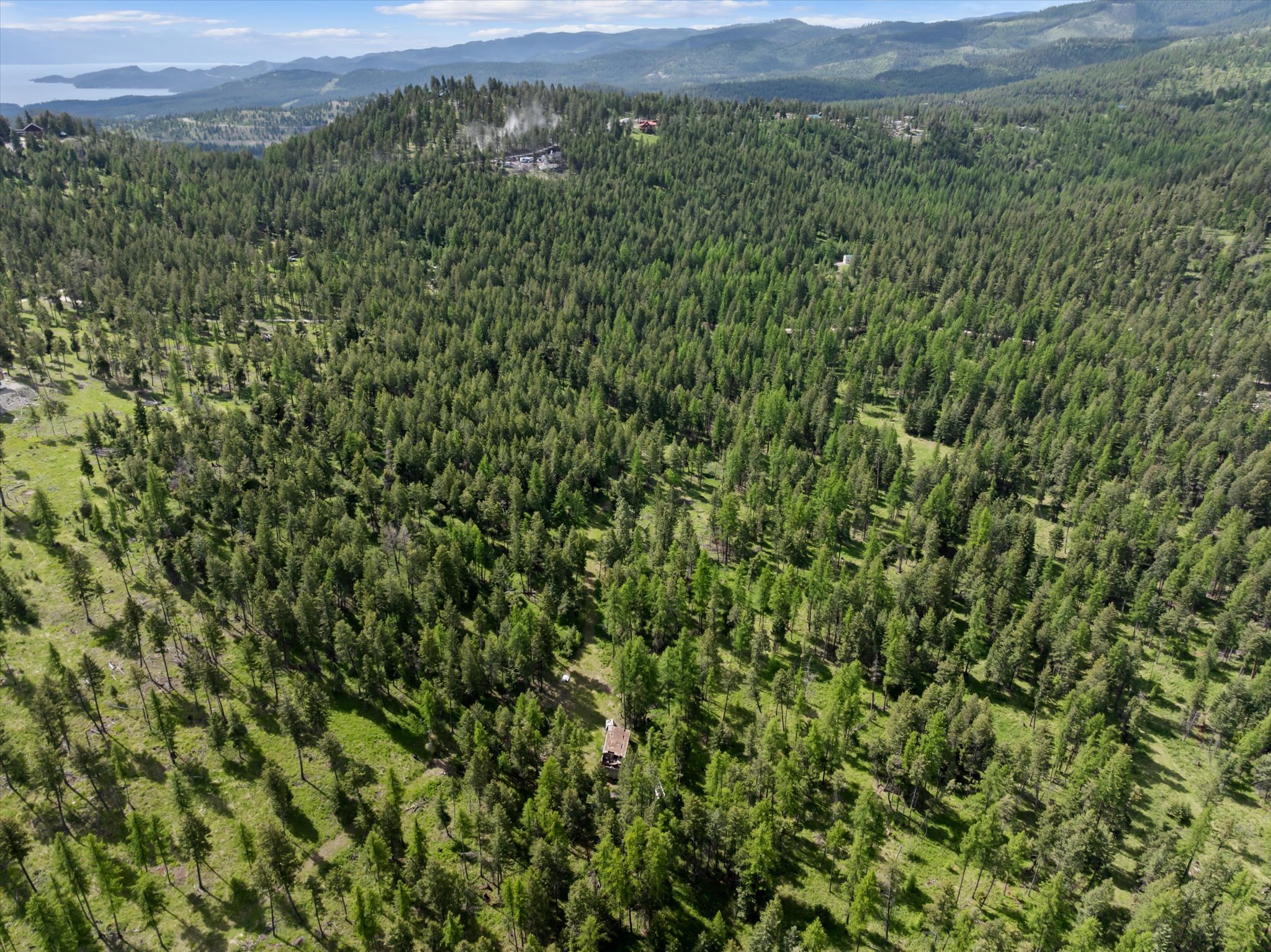 439 Buffalo Trail Property Photo 7