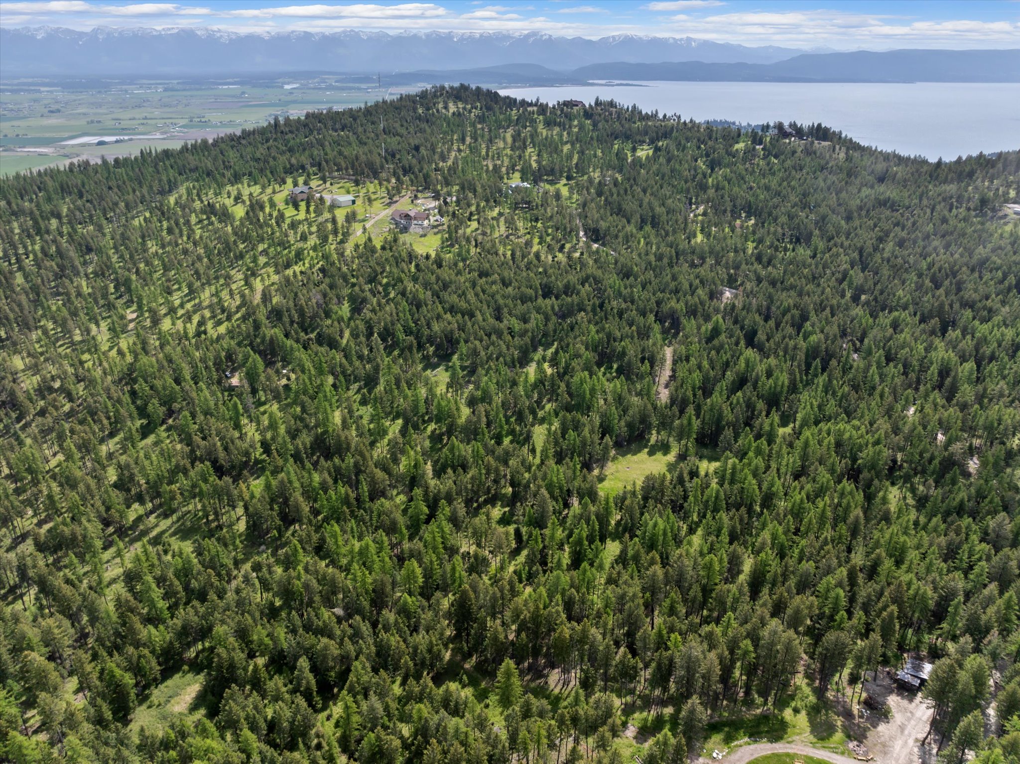 439 Buffalo Trail Property Photo 9