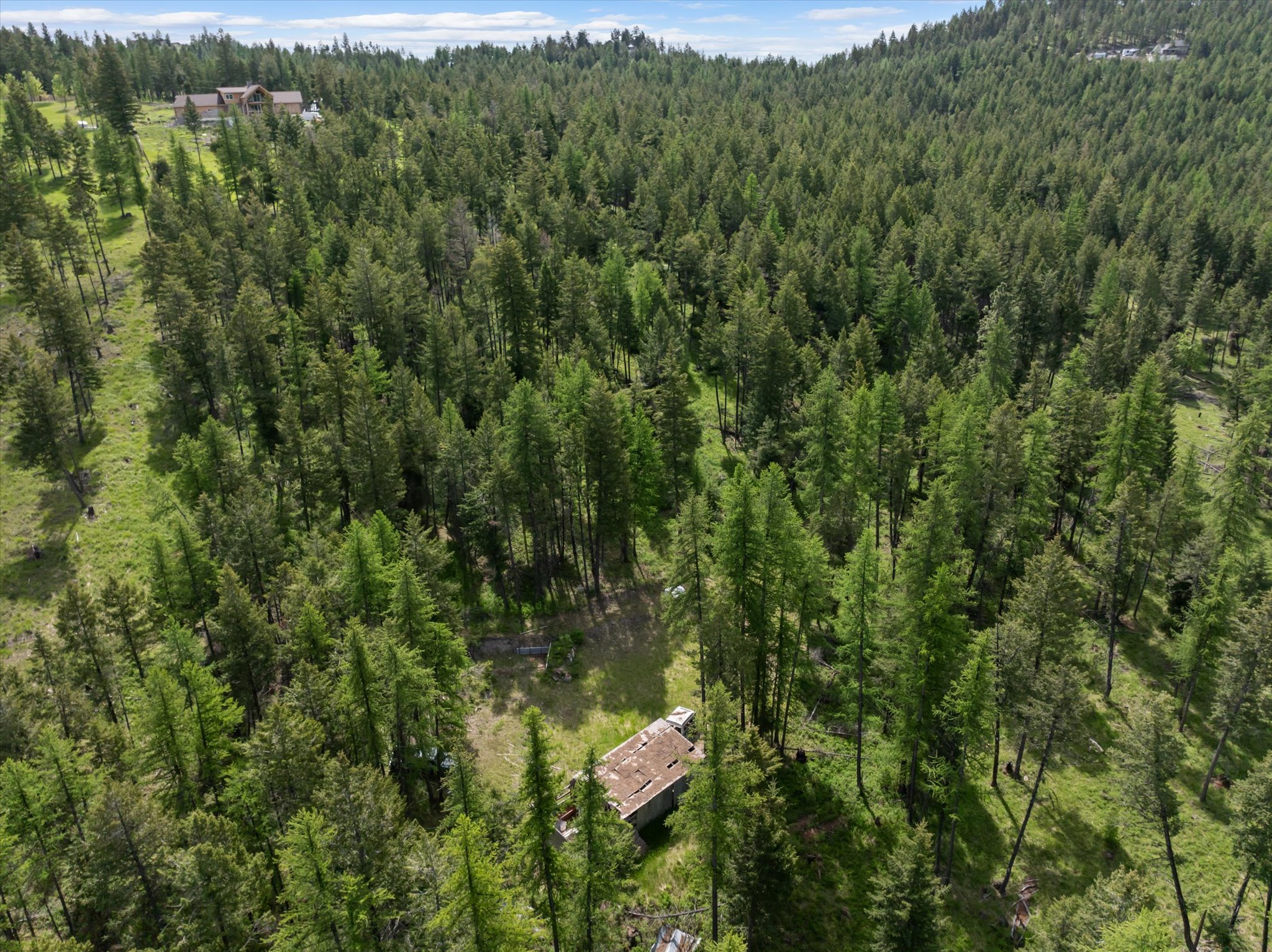 439 Buffalo Trail Property Photo 11