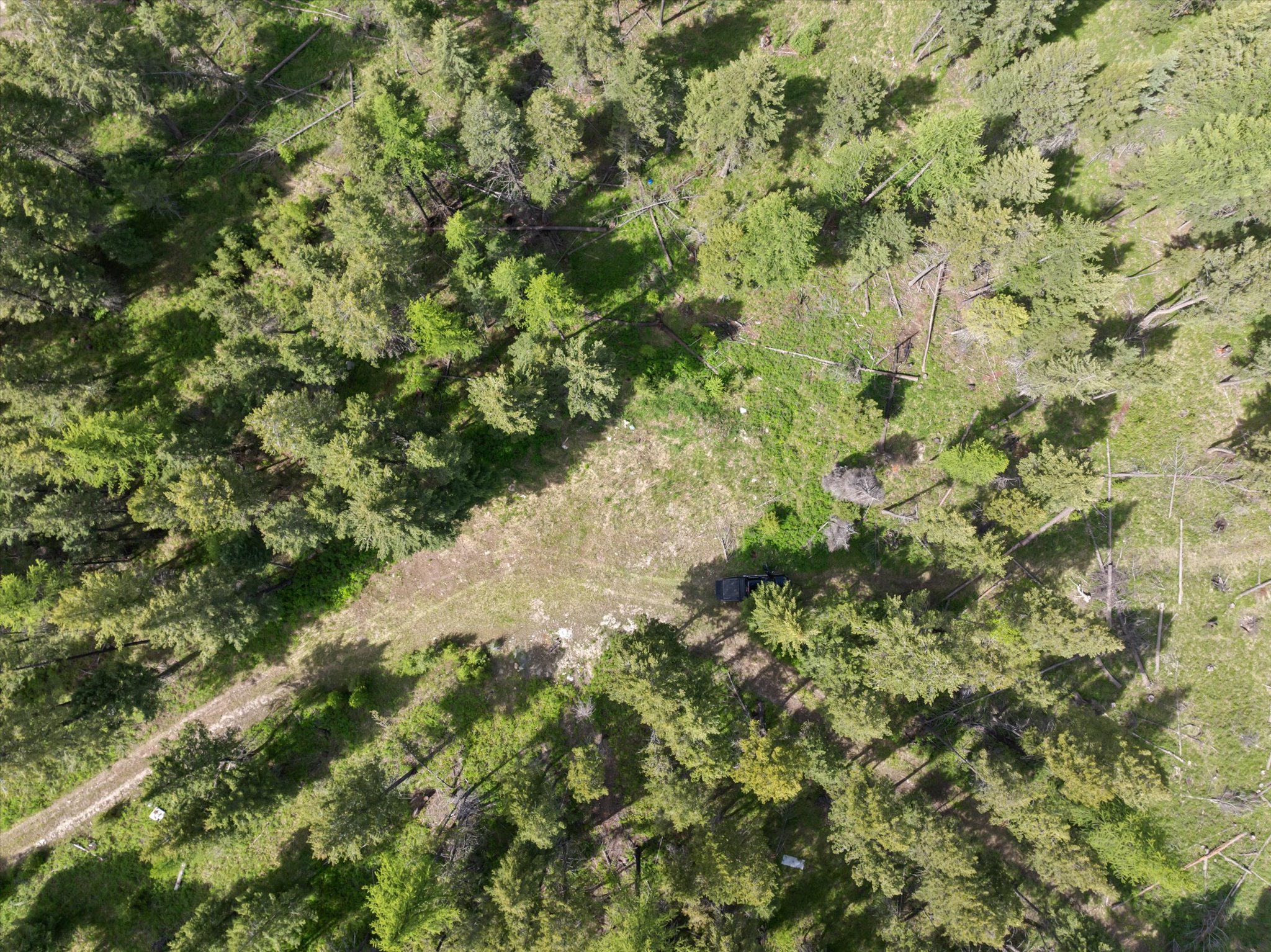 439 Buffalo Trail Property Photo 12