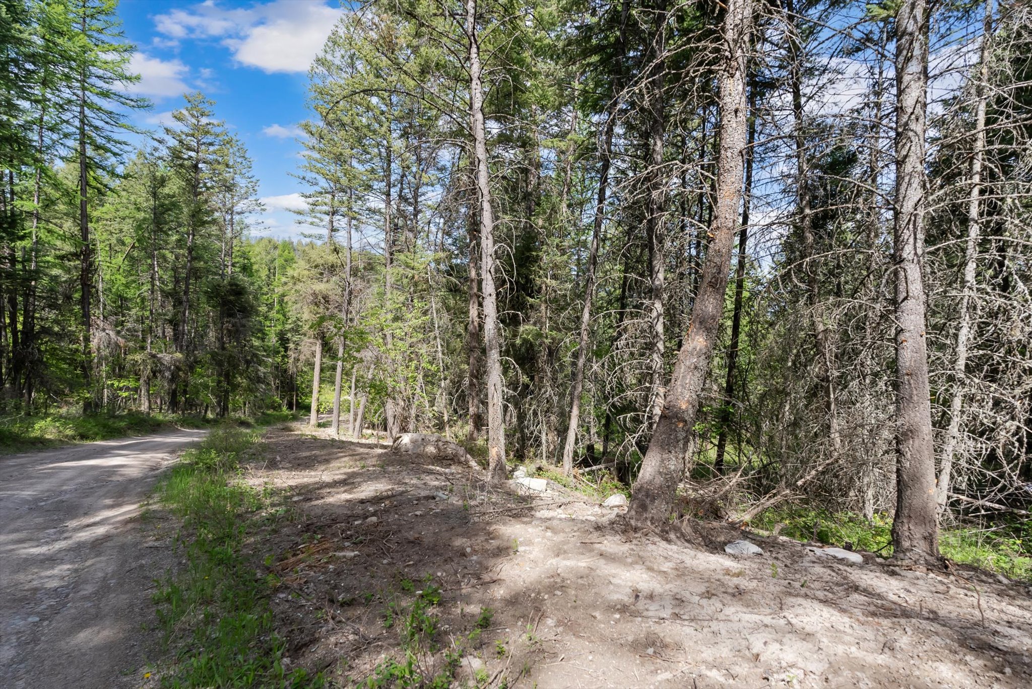 439 Buffalo Trail Property Photo 13