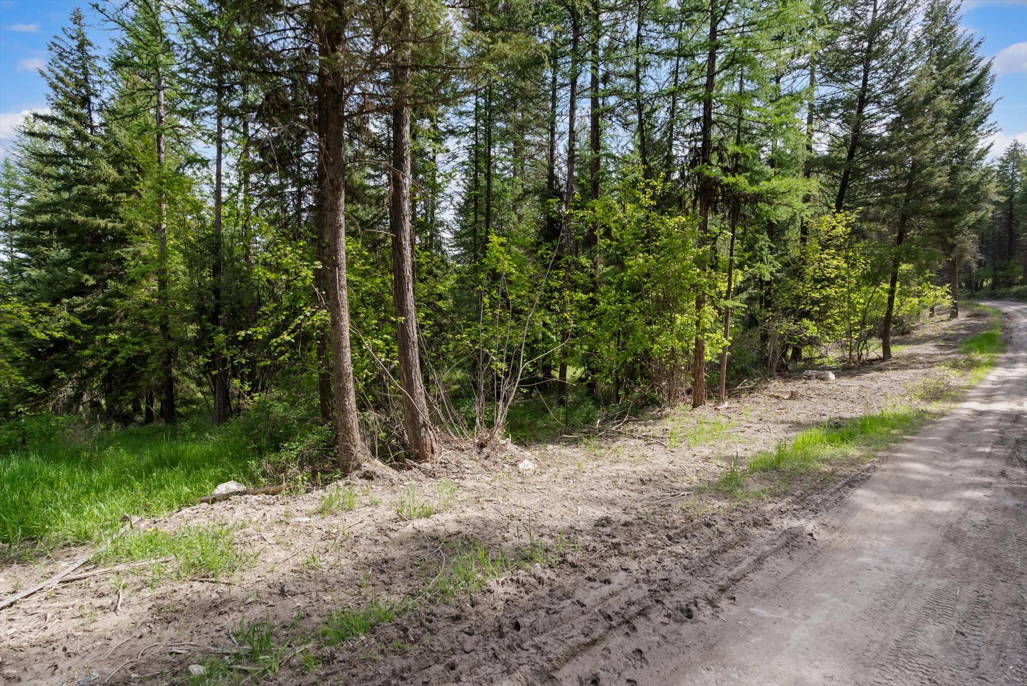 439 Buffalo Trail Property Photo 14