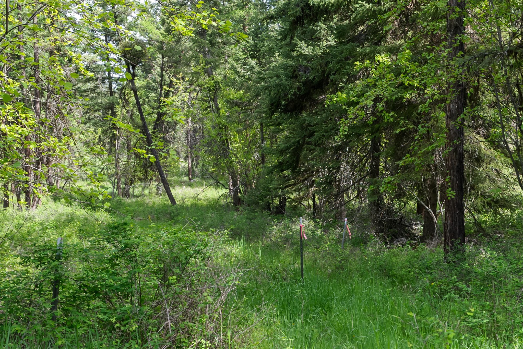 439 Buffalo Trail Property Photo 15