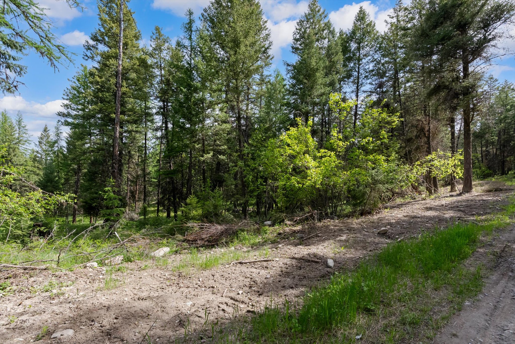 439 Buffalo Trail Property Photo 16