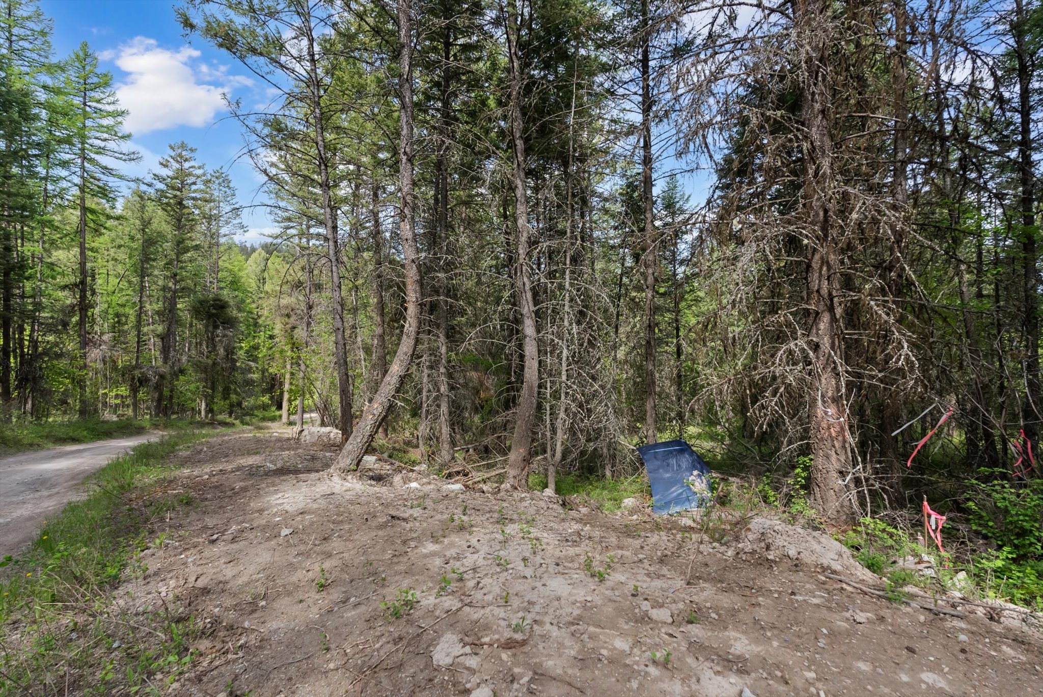 439 Buffalo Trail Property Photo 17