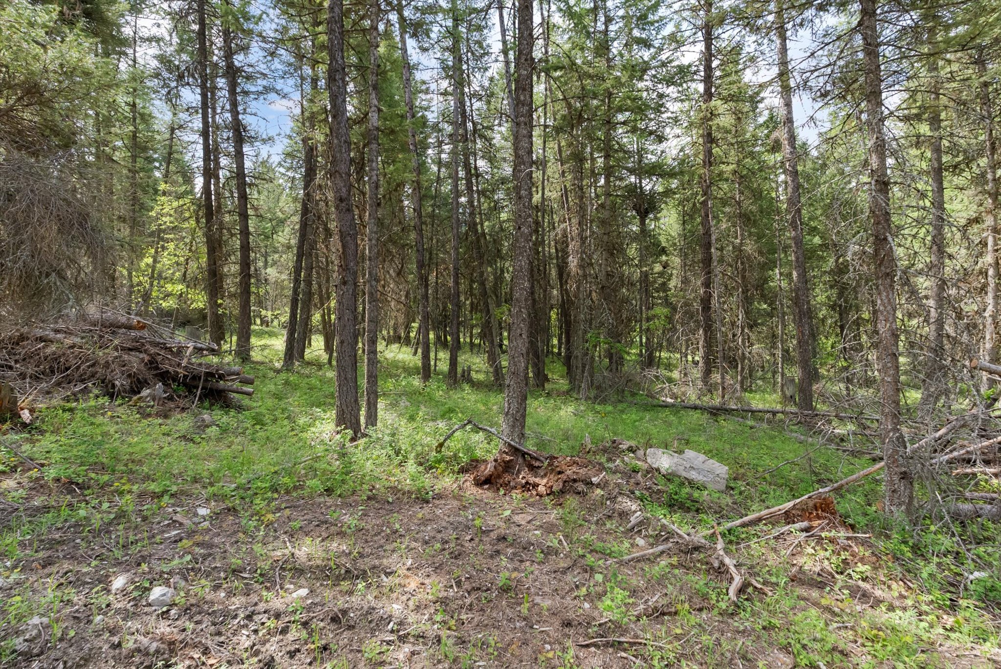 439 Buffalo Trail Property Photo 18