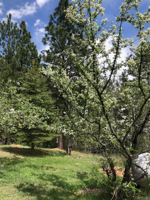 438 Blue Jay Lane Property Photo 13