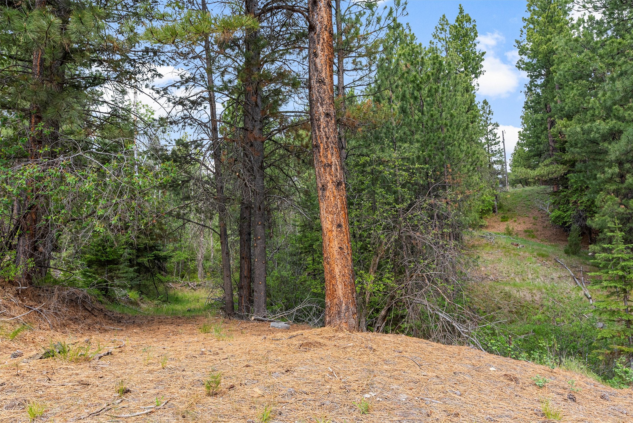 438 Blue Jay Lane Property Photo 45