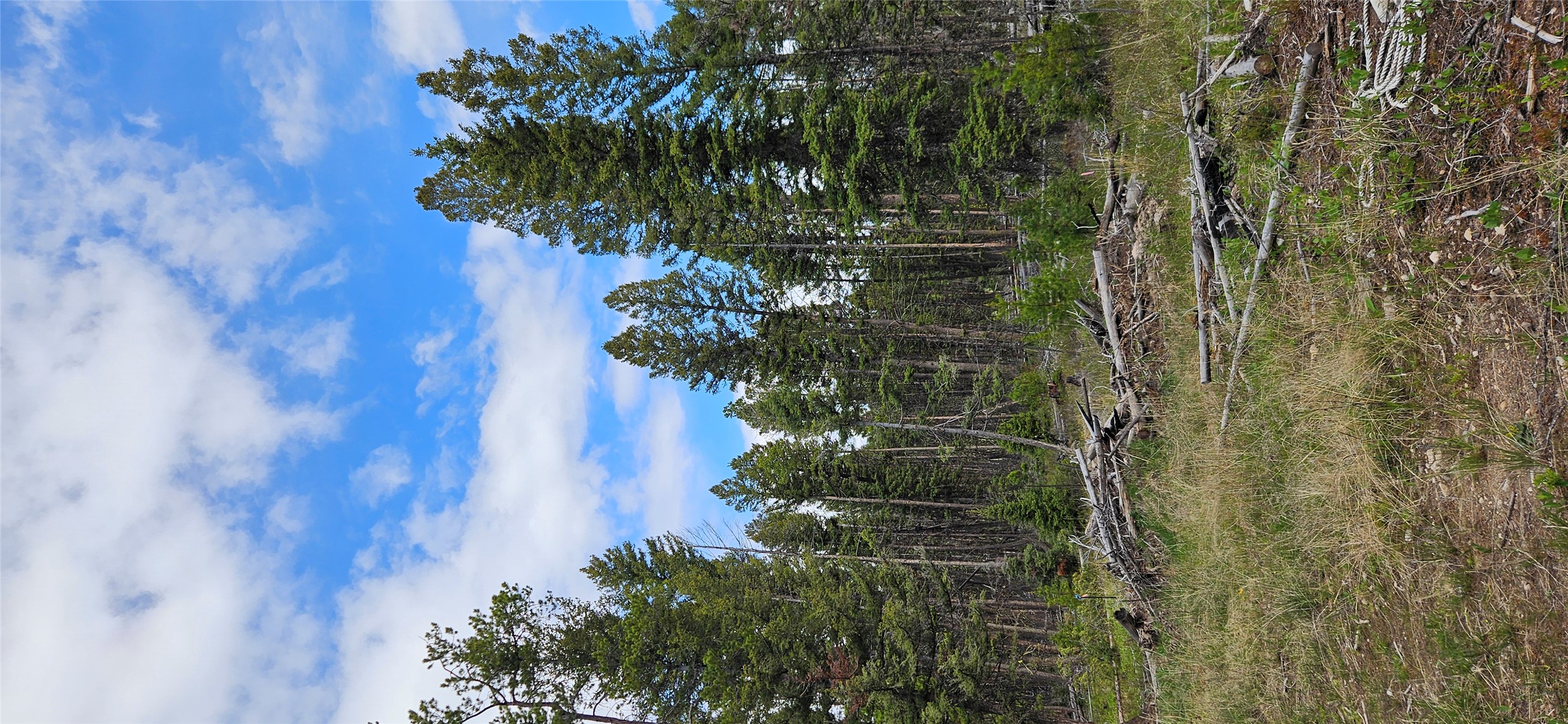 000 Bear Gulch Road Property Photo 1