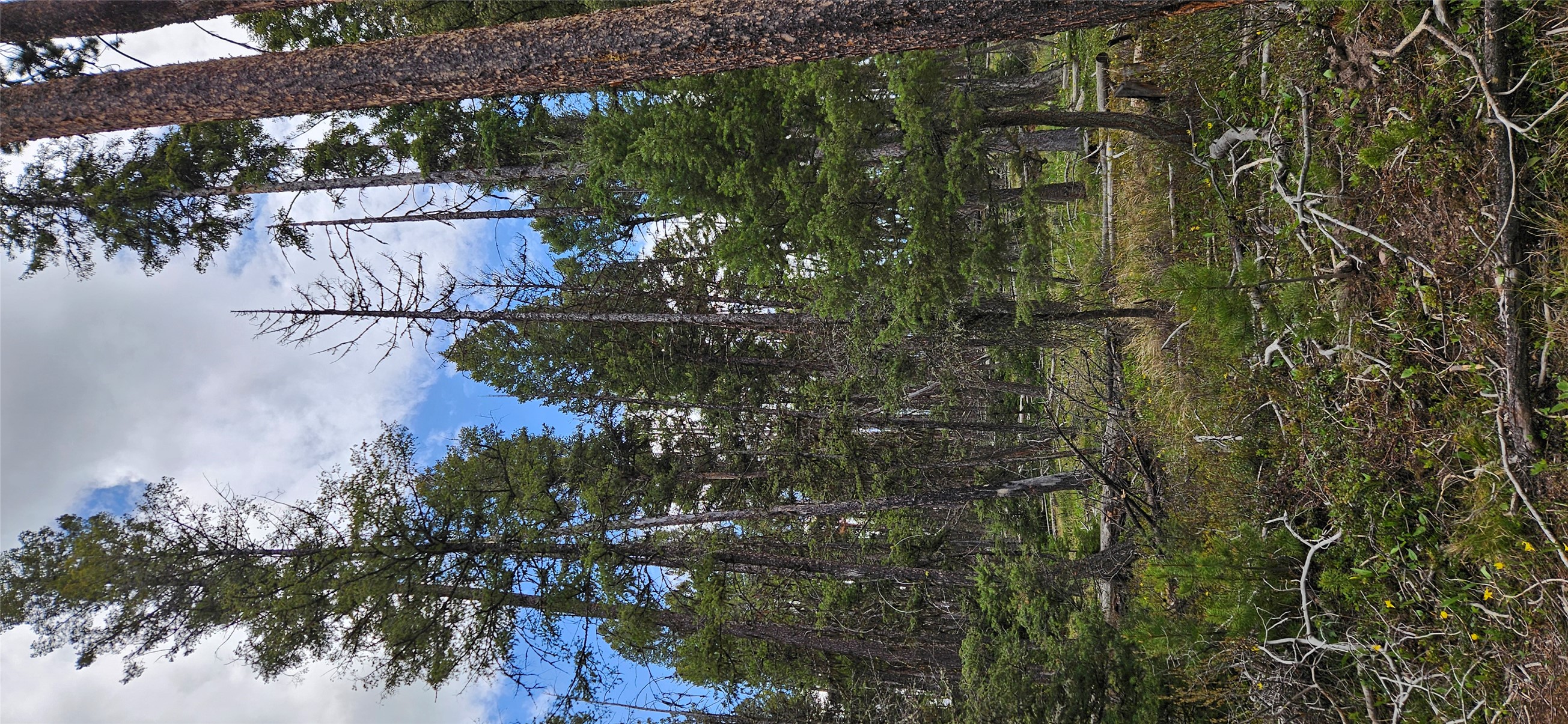 000 Bear Gulch Road Property Photo 2