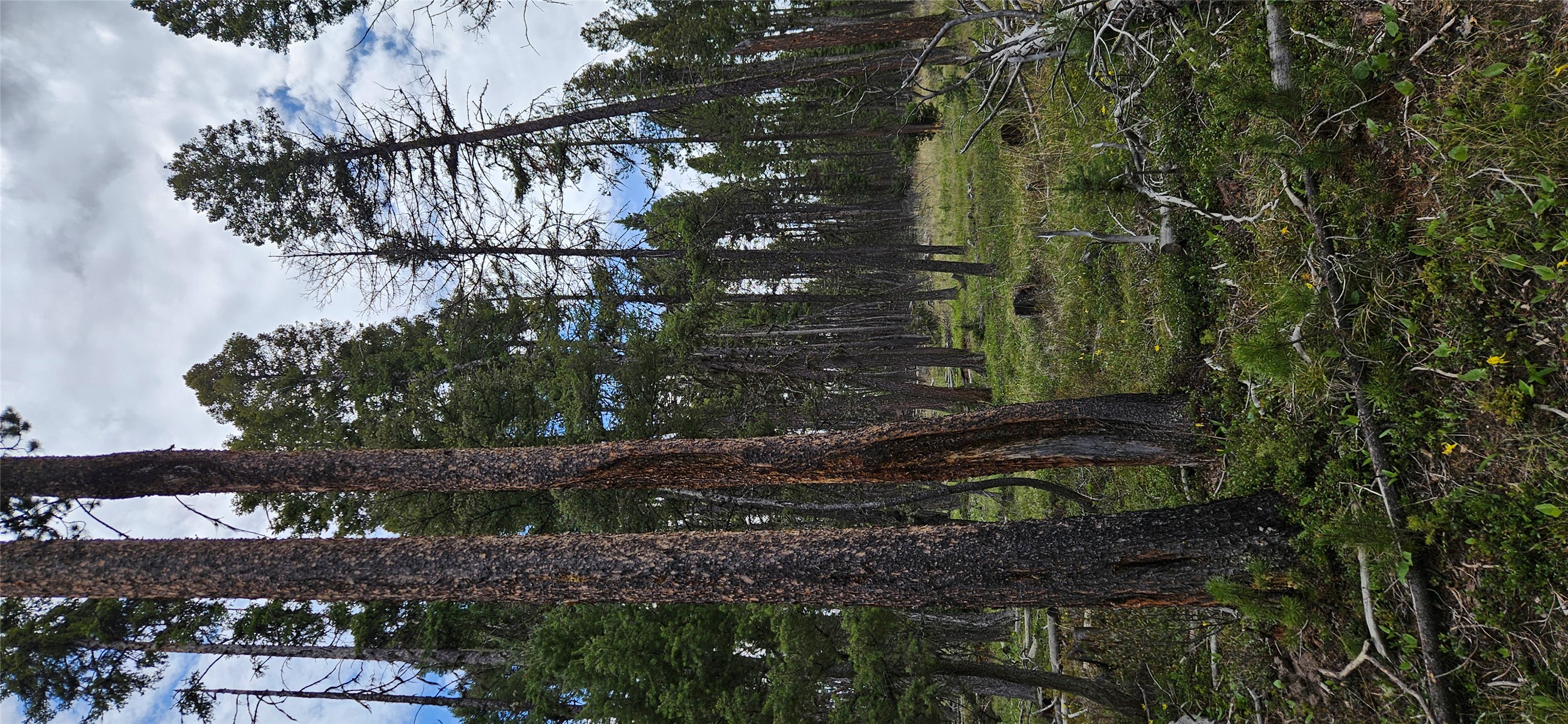 000 Bear Gulch Road Property Photo 3