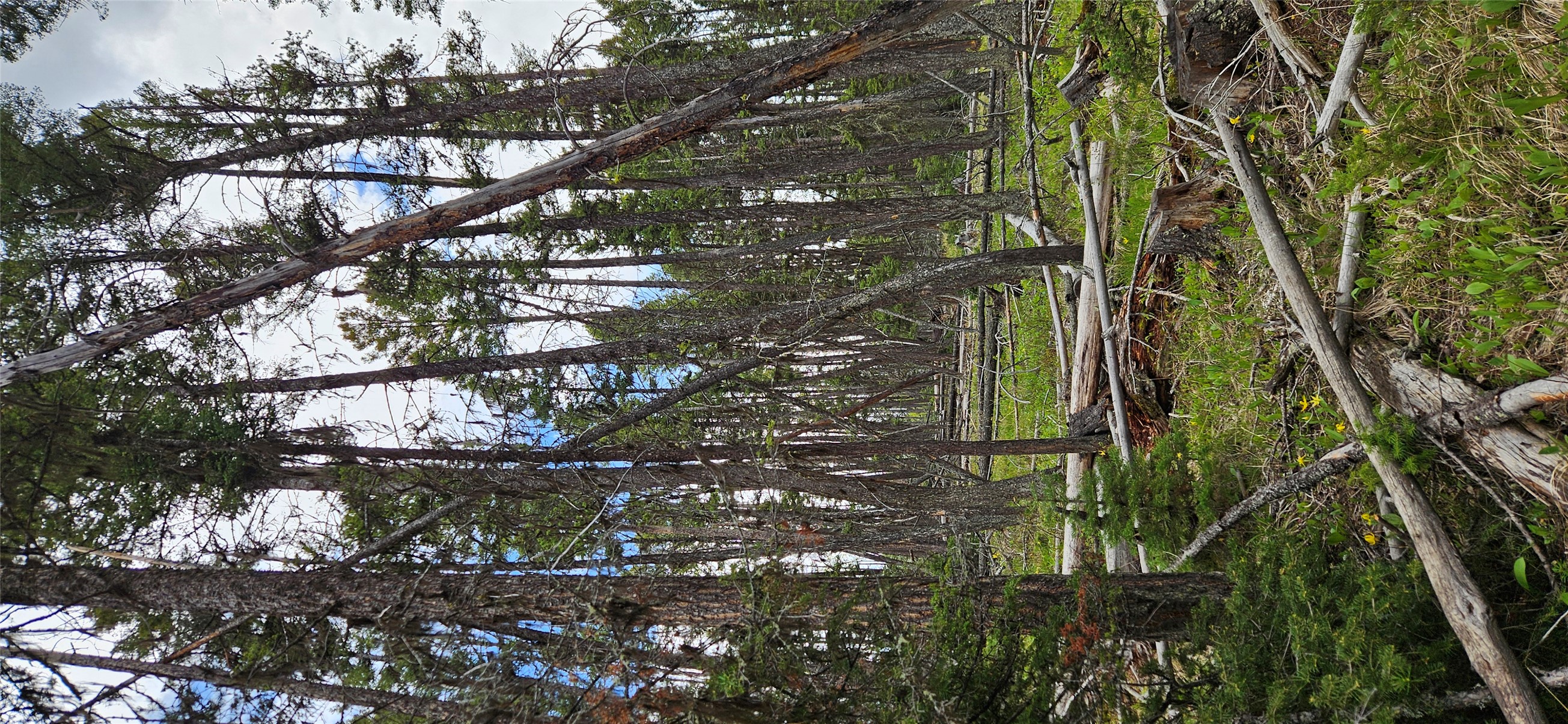 000 Bear Gulch Road Property Photo 4