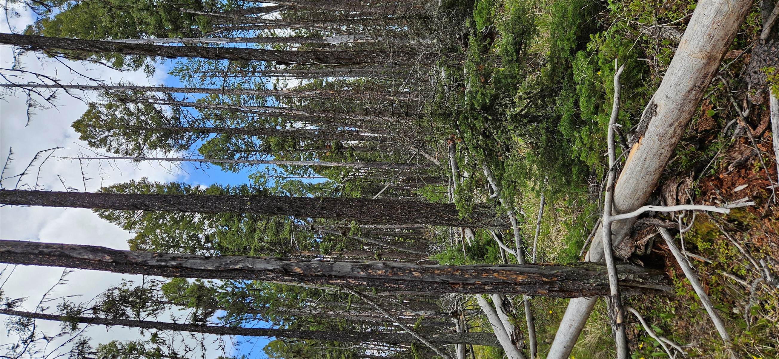 000 Bear Gulch Road Property Photo 5