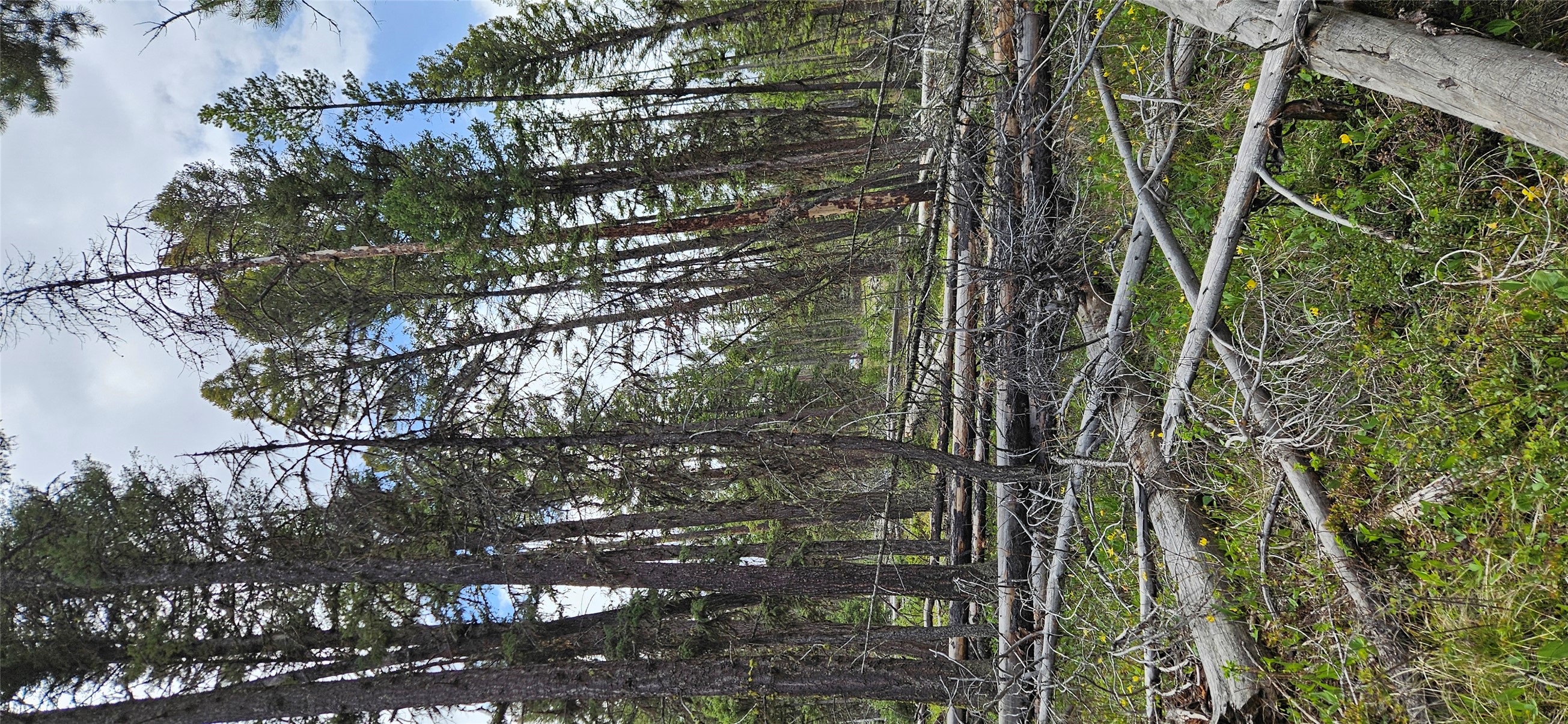 000 Bear Gulch Road Property Photo 8