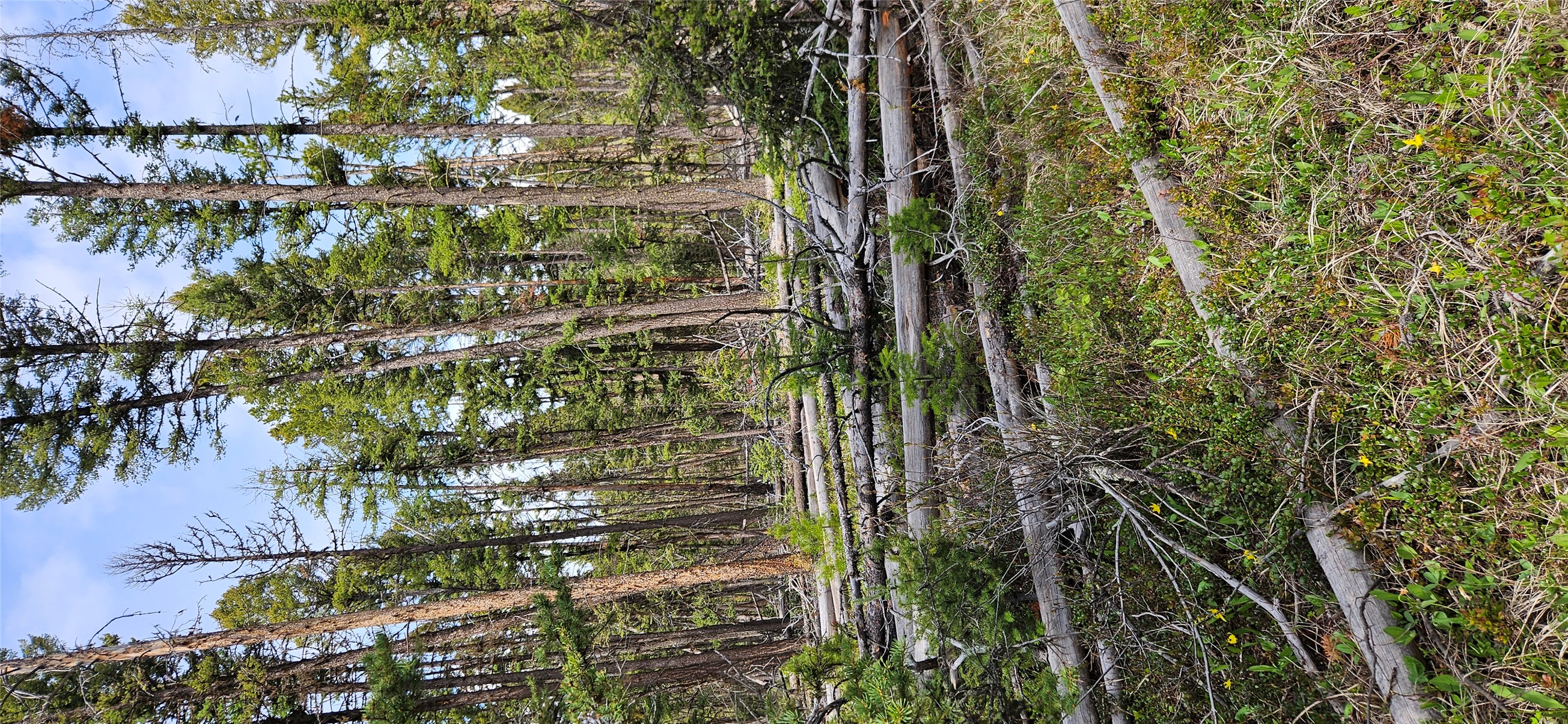000 Bear Gulch Road Property Photo 10