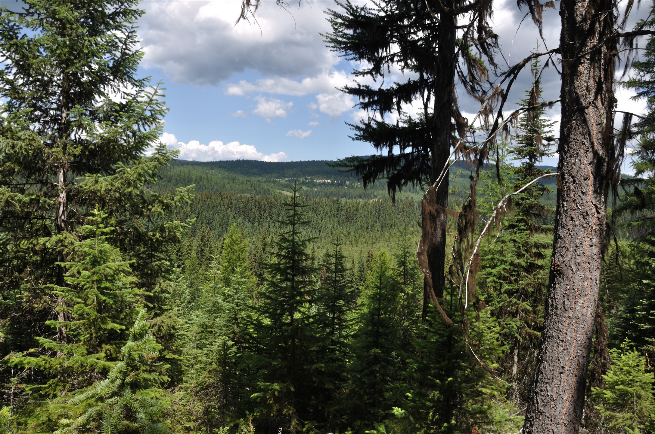 3630 Logan Creek Road Property Photo 1