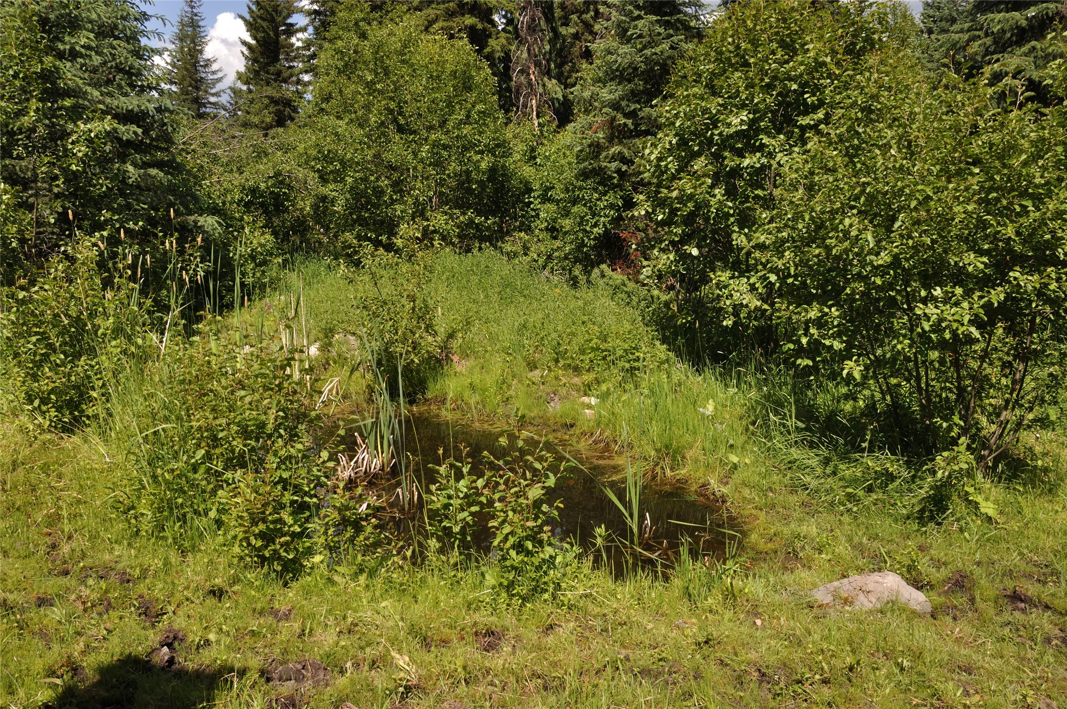 3630 Logan Creek Road Property Photo 2