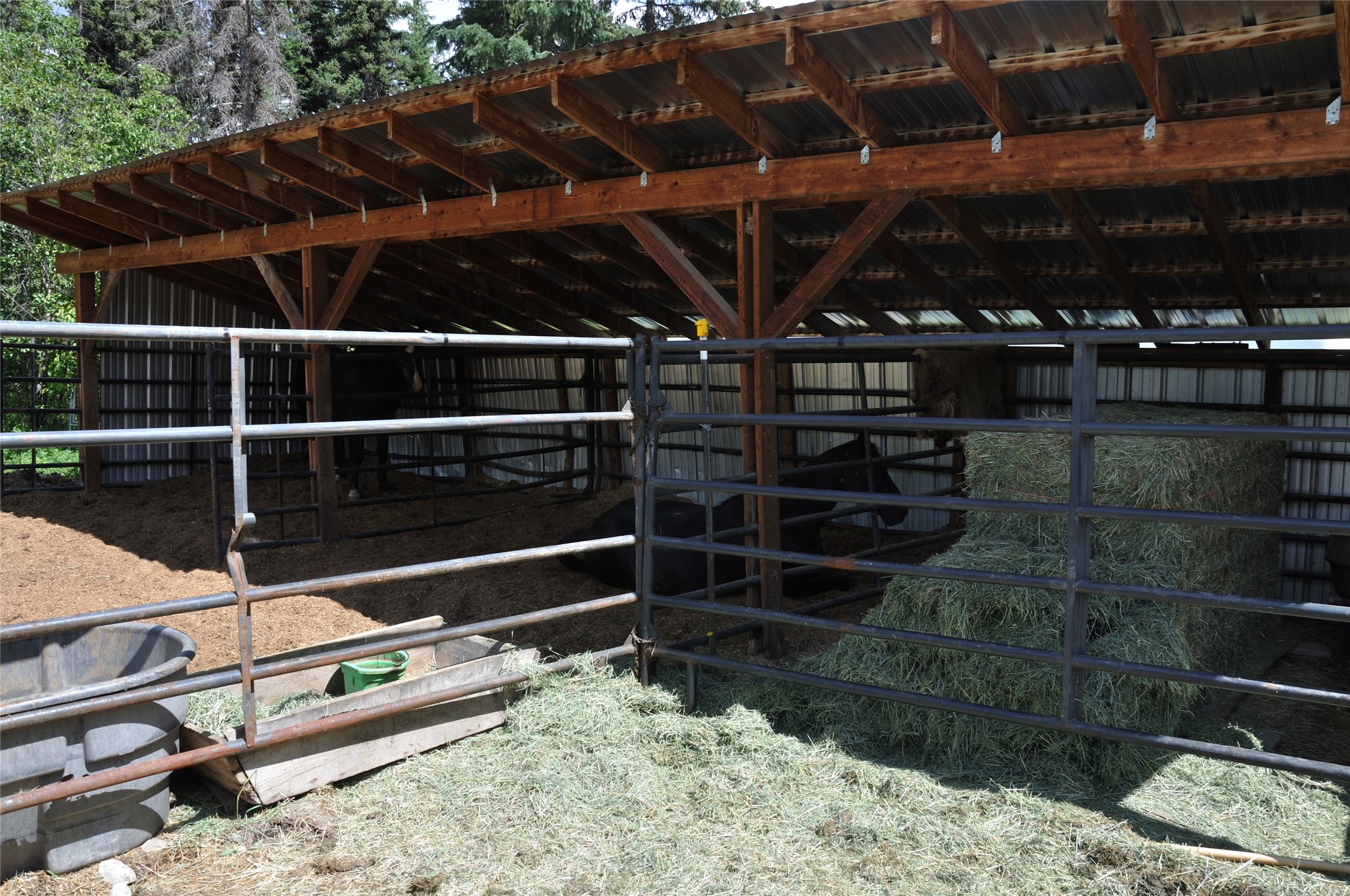 3630 Logan Creek Road Property Photo 16