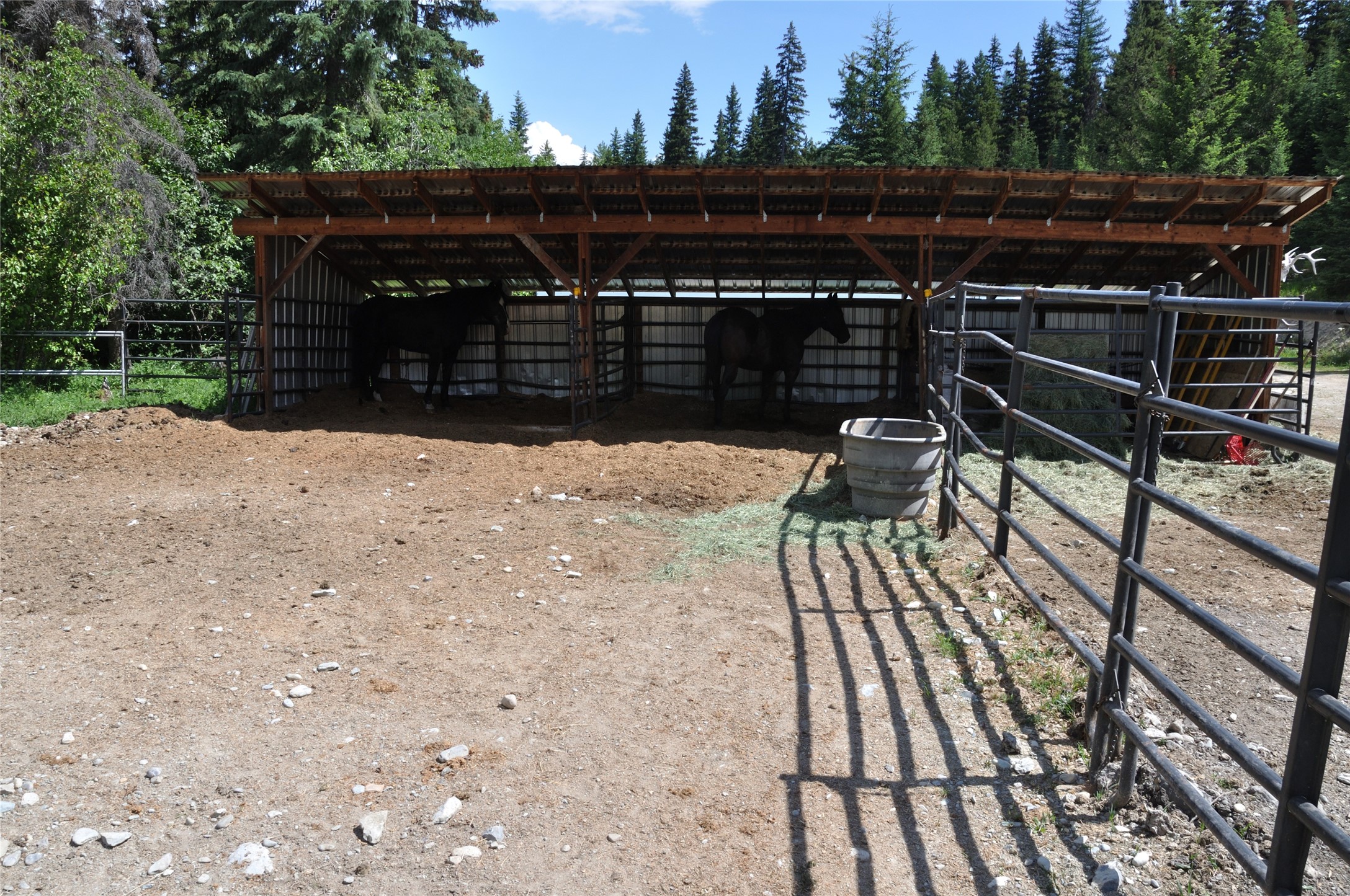 3630 Logan Creek Road Property Photo 17