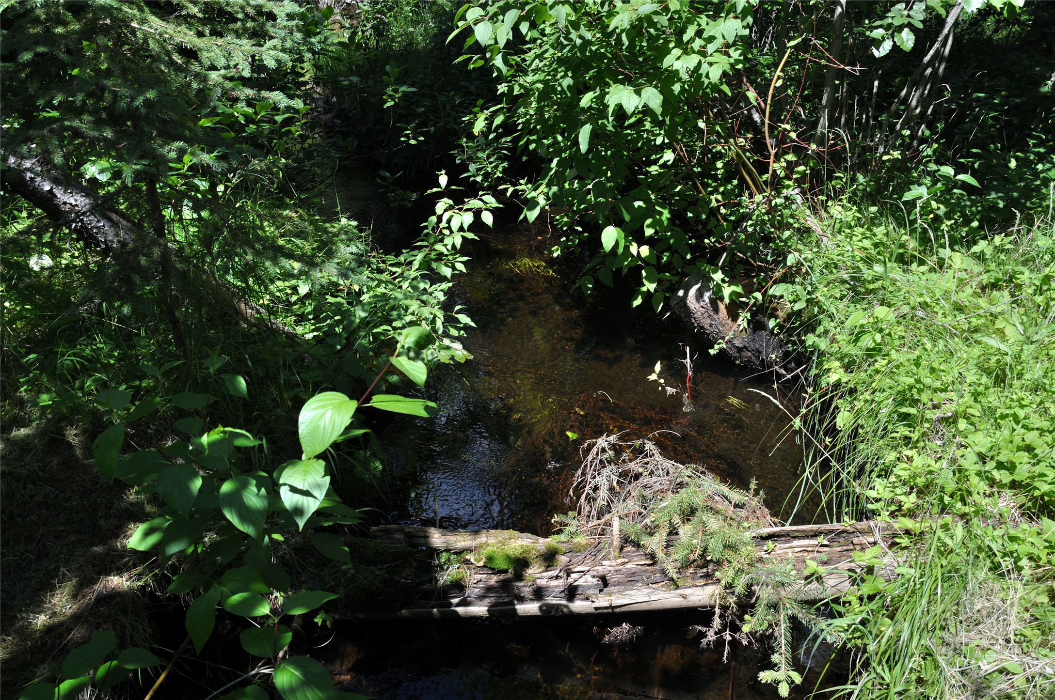 3630 Logan Creek Road Property Photo 20