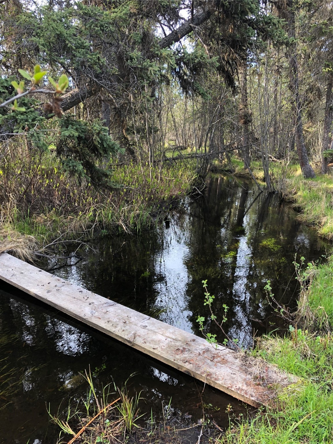 3630 Logan Creek Road Property Photo 21