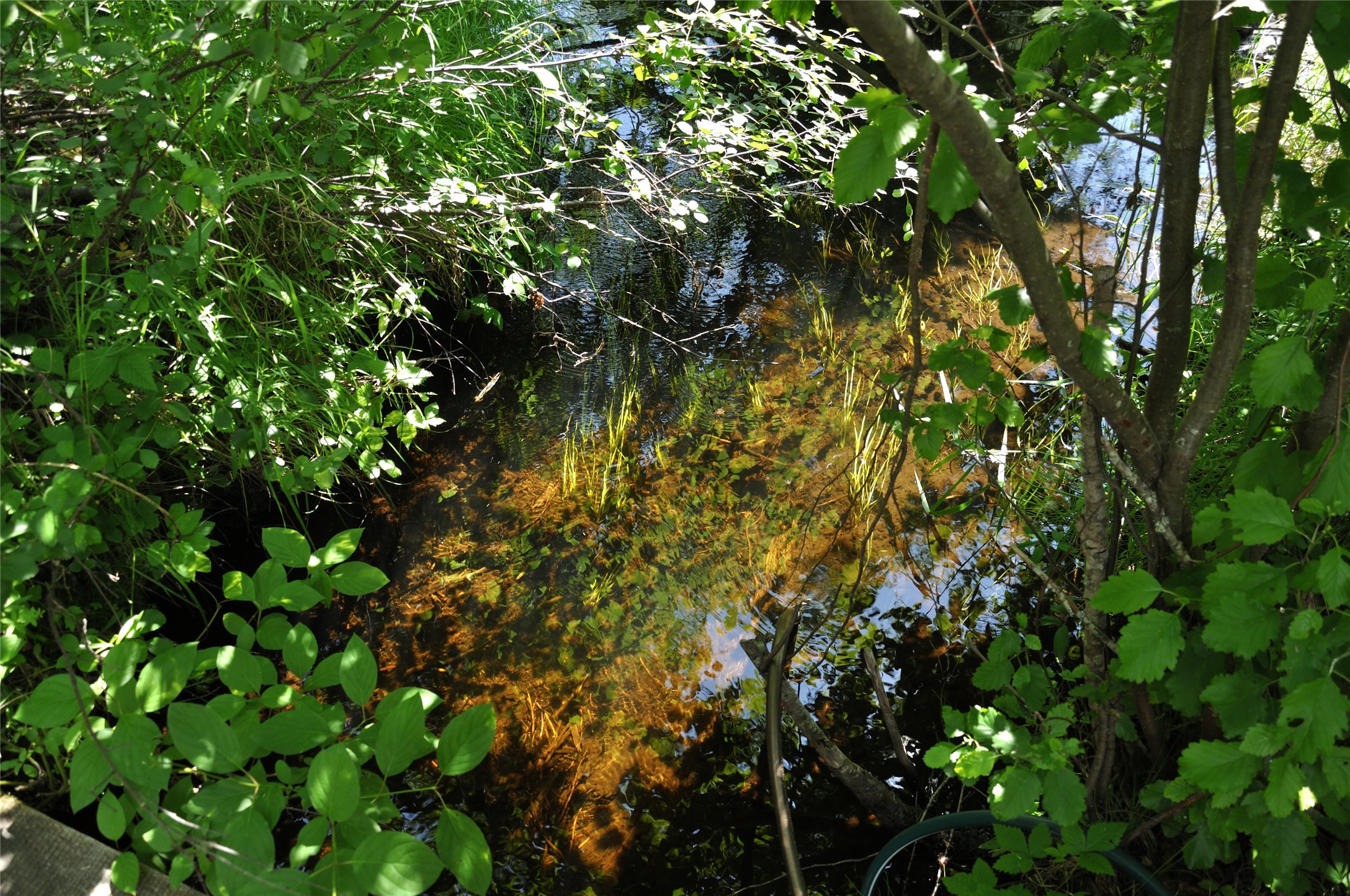 3630 Logan Creek Road Property Photo 22