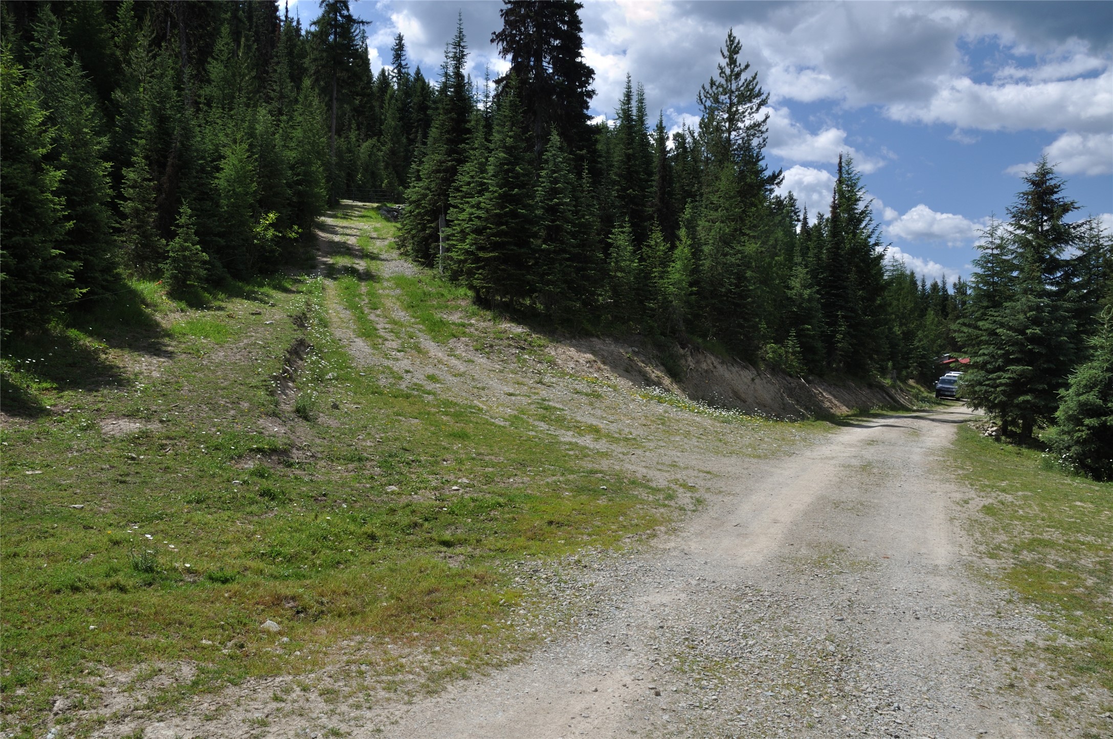 3630 Logan Creek Road Property Photo 25