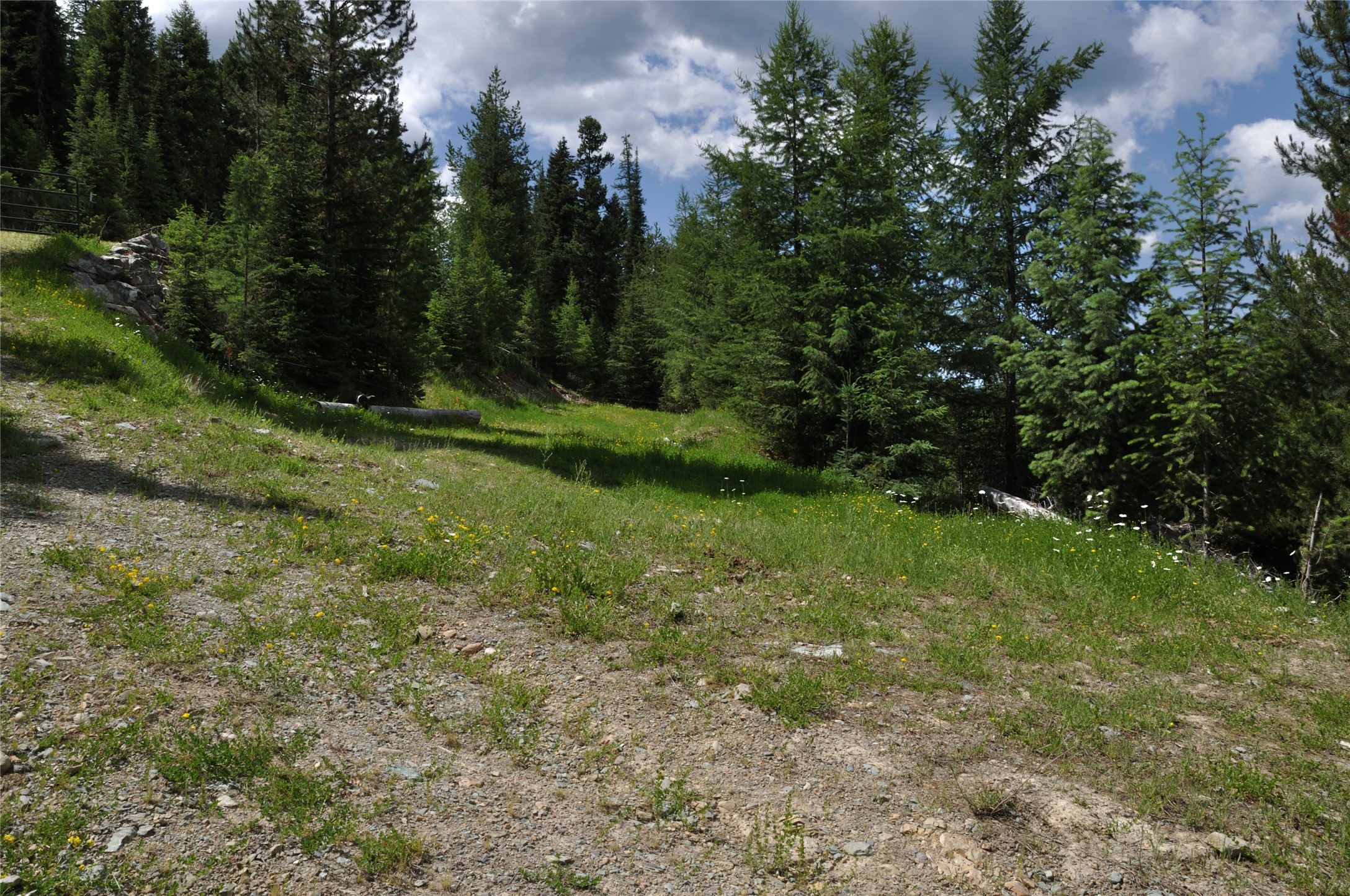 3630 Logan Creek Road Property Photo 26