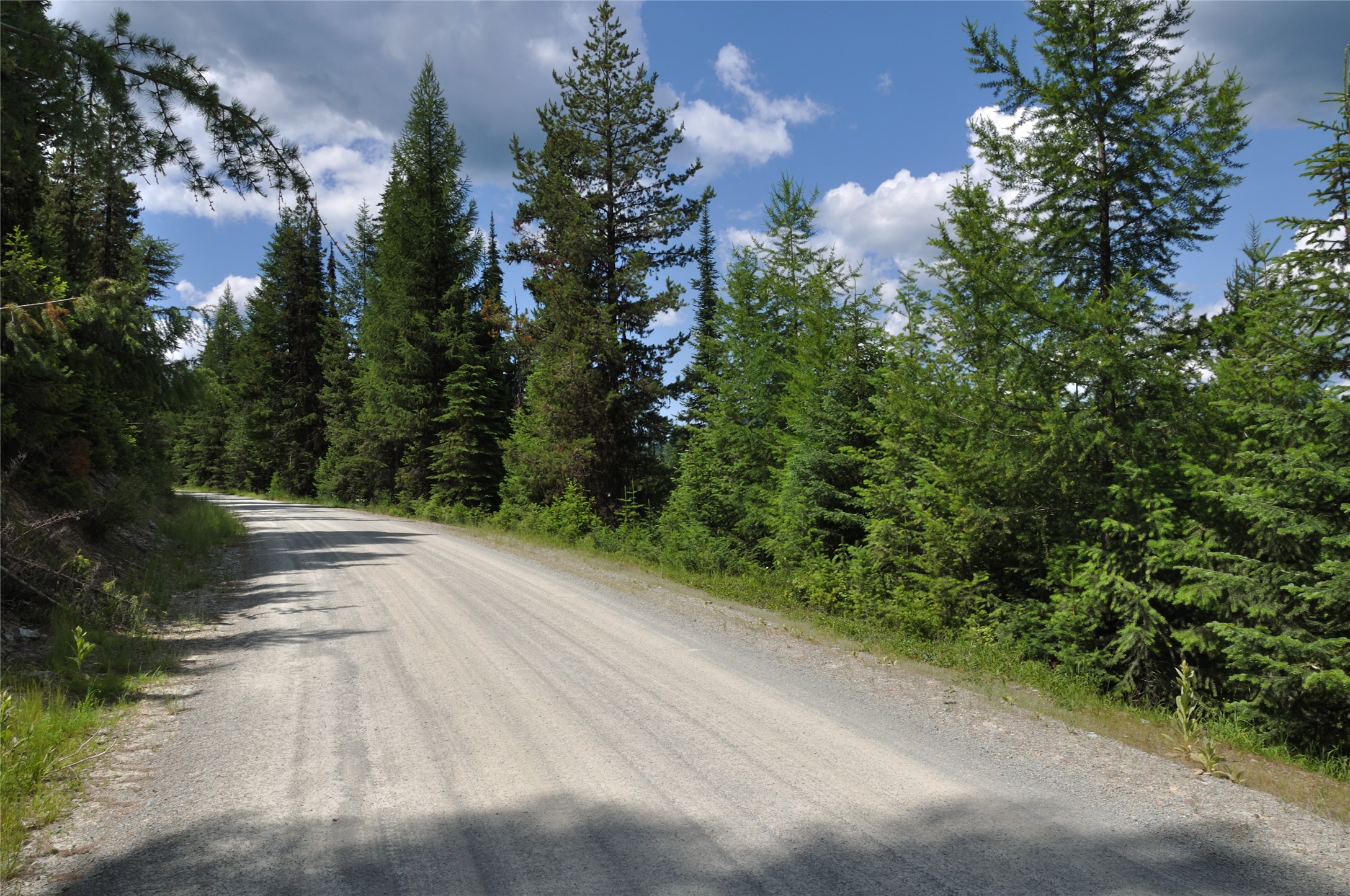 3630 Logan Creek Road Property Photo 27