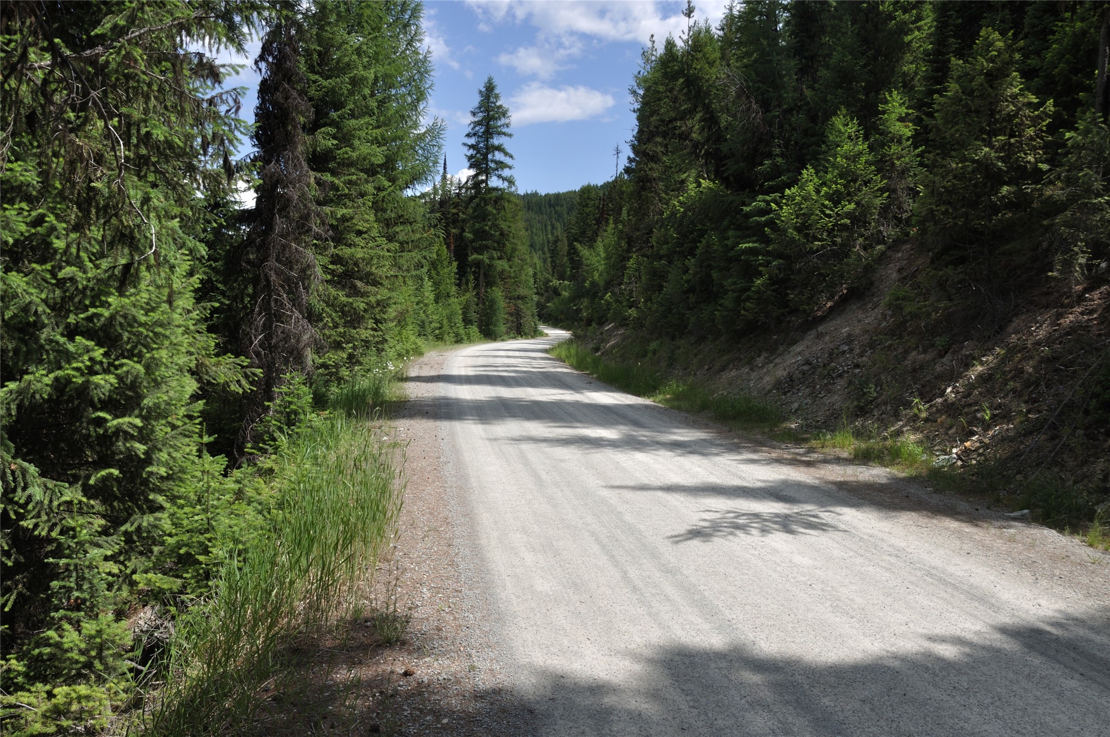 3630 Logan Creek Road Property Photo 28