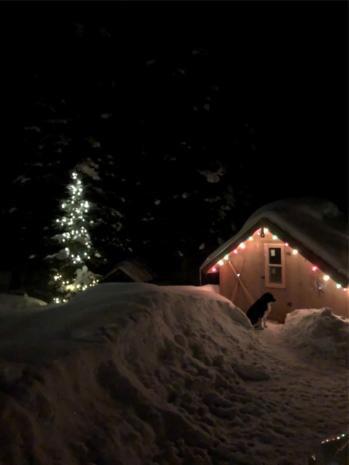 3630 Logan Creek Road Property Photo 36