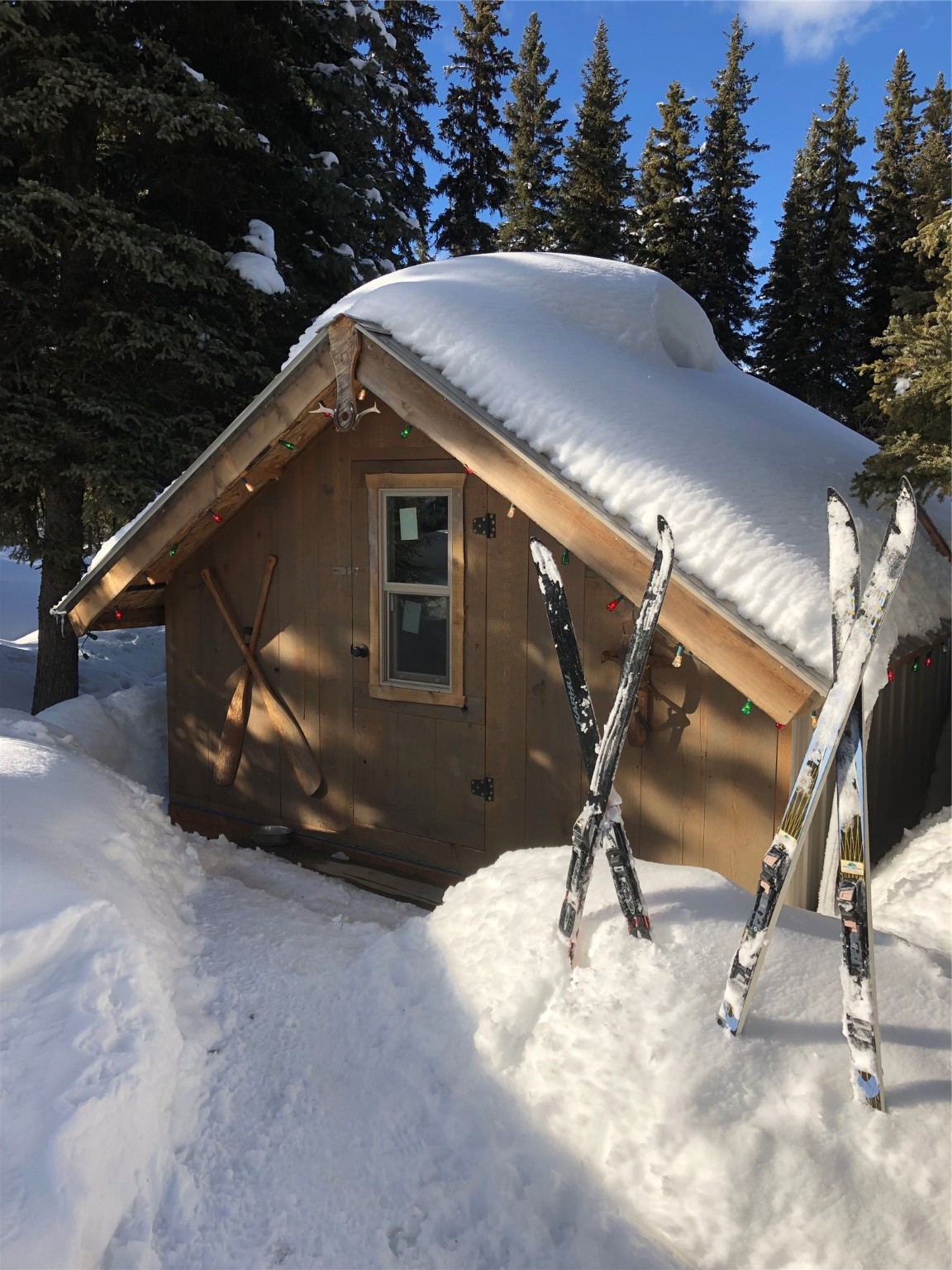 3630 Logan Creek Road Property Photo 37