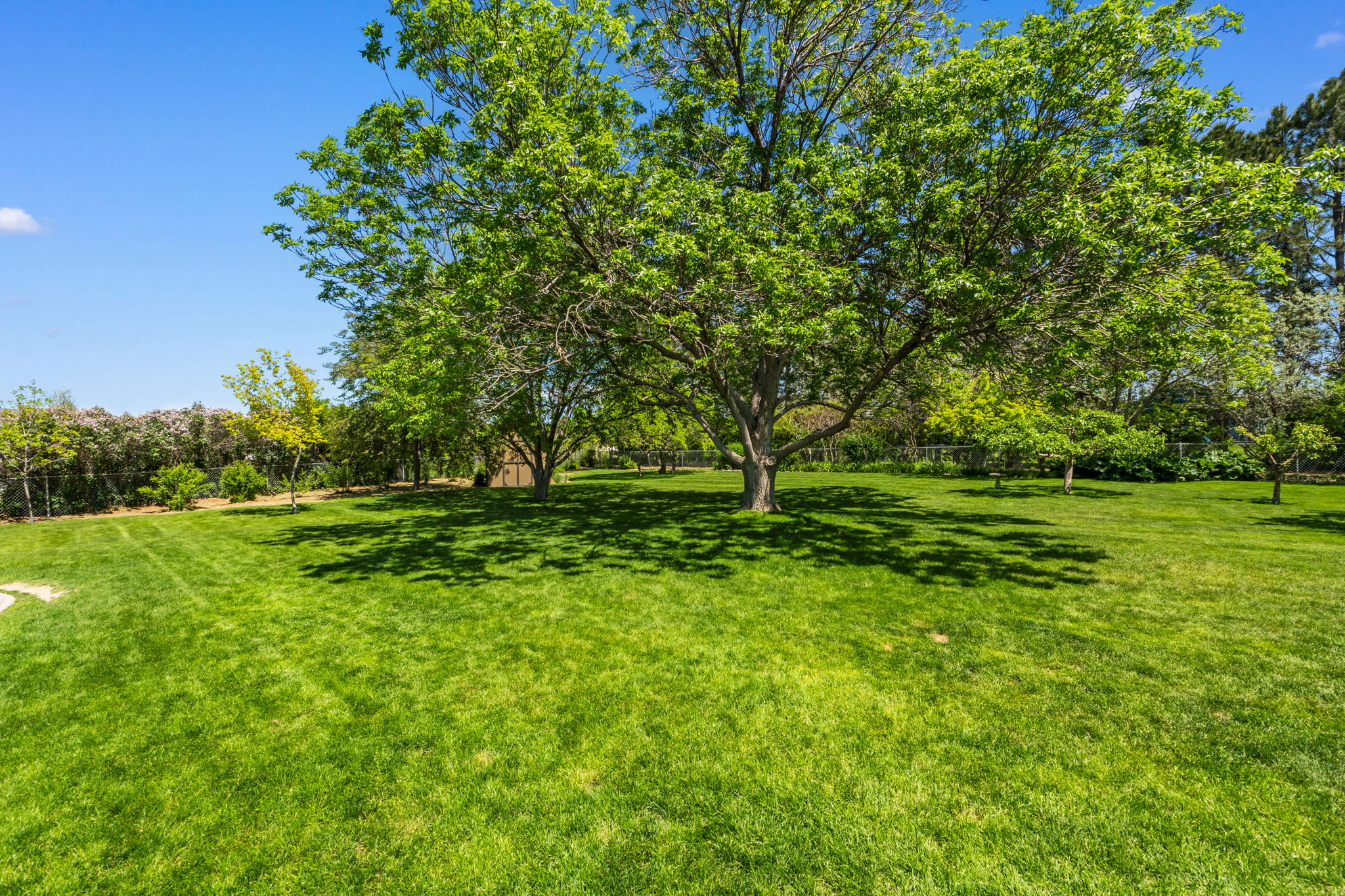 5489 Sahara Court Property Photo 33