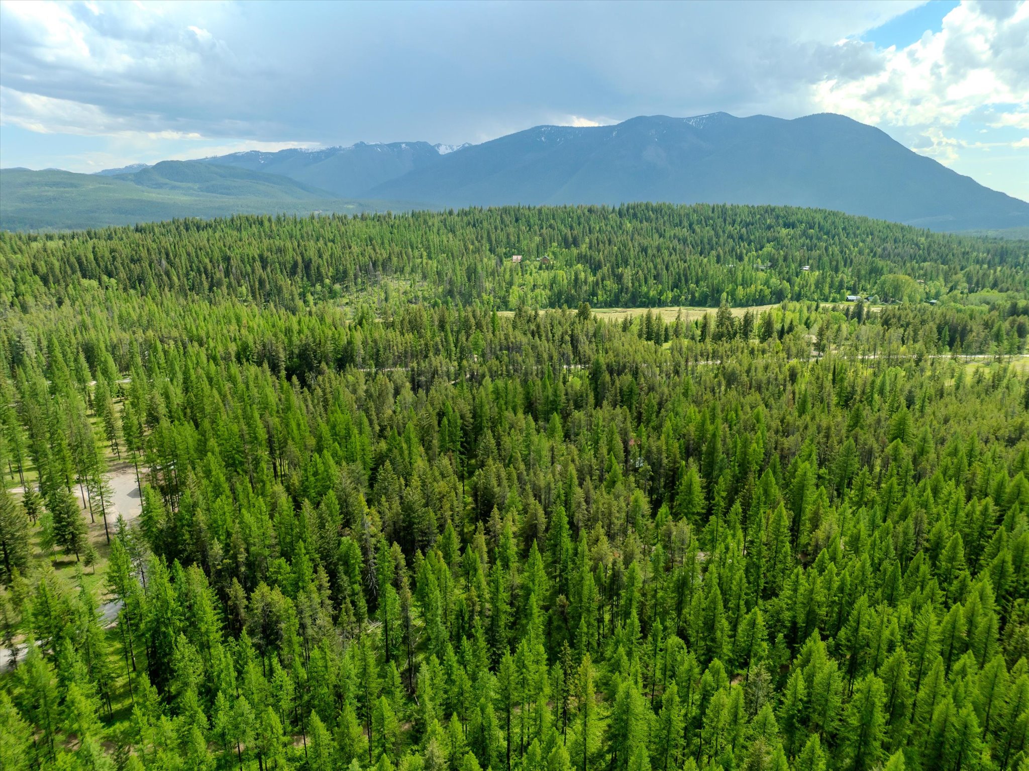 540 Seville Lane Property Photo 7