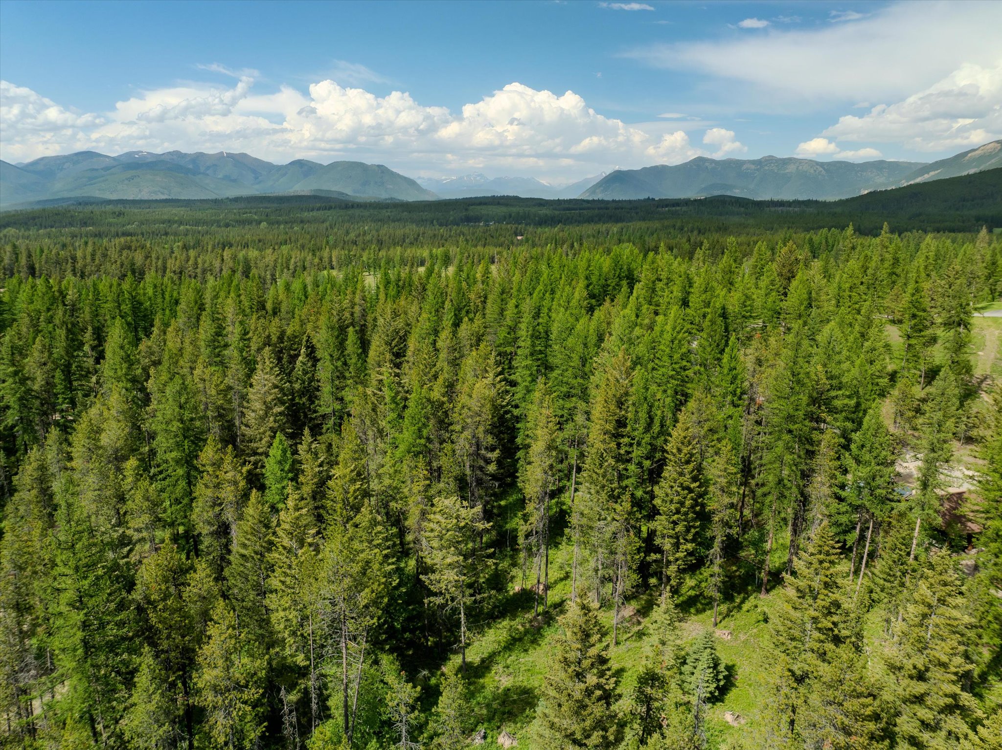 540 Seville Lane Property Photo 14