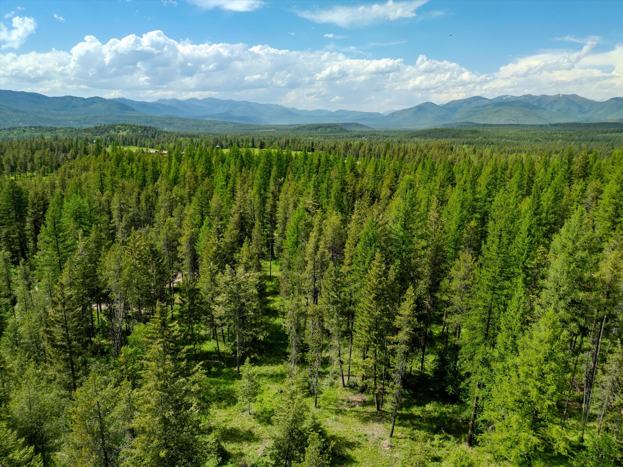 540 Seville Lane Property Photo 15