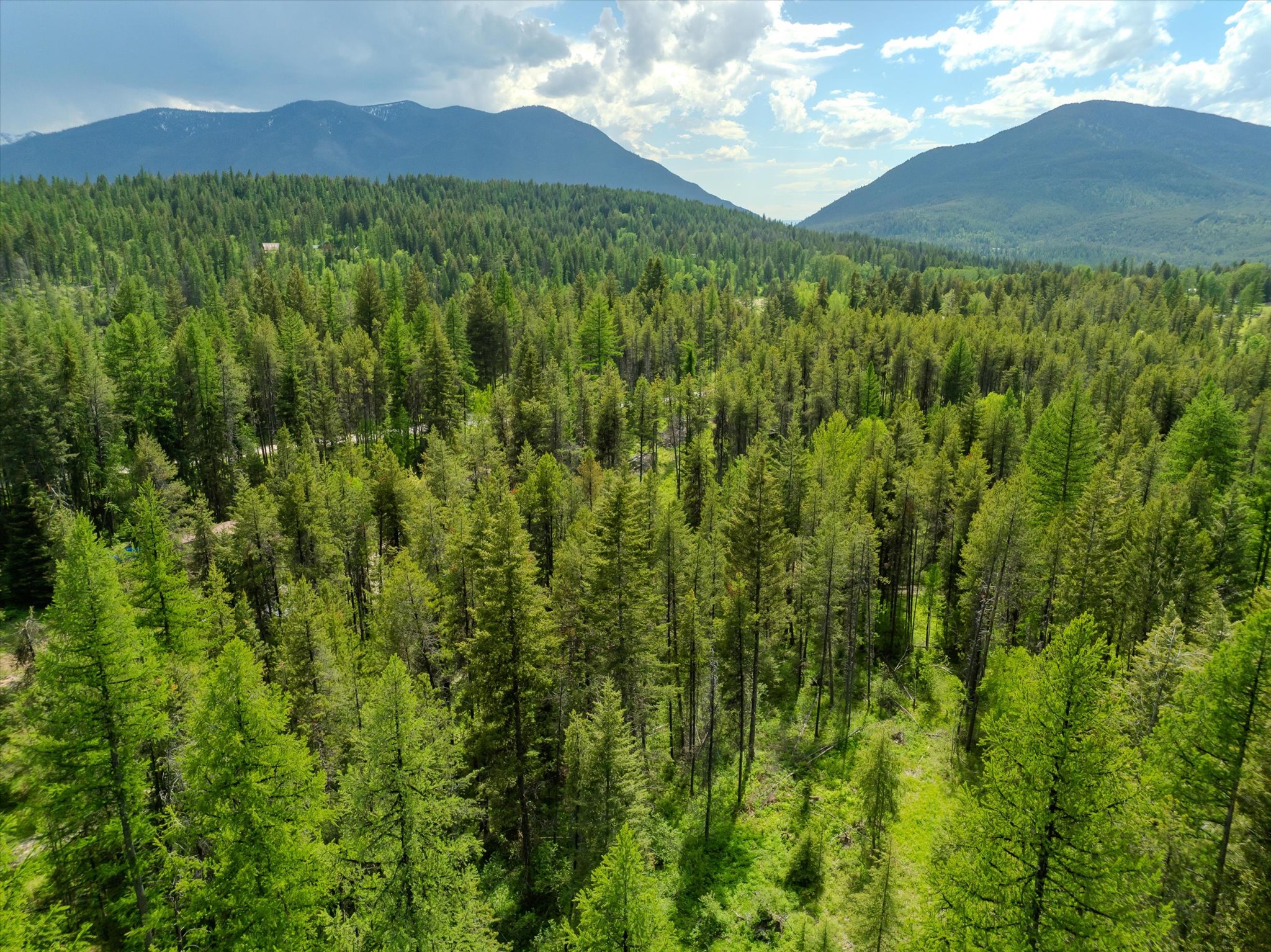 540 Seville Lane Property Photo 16