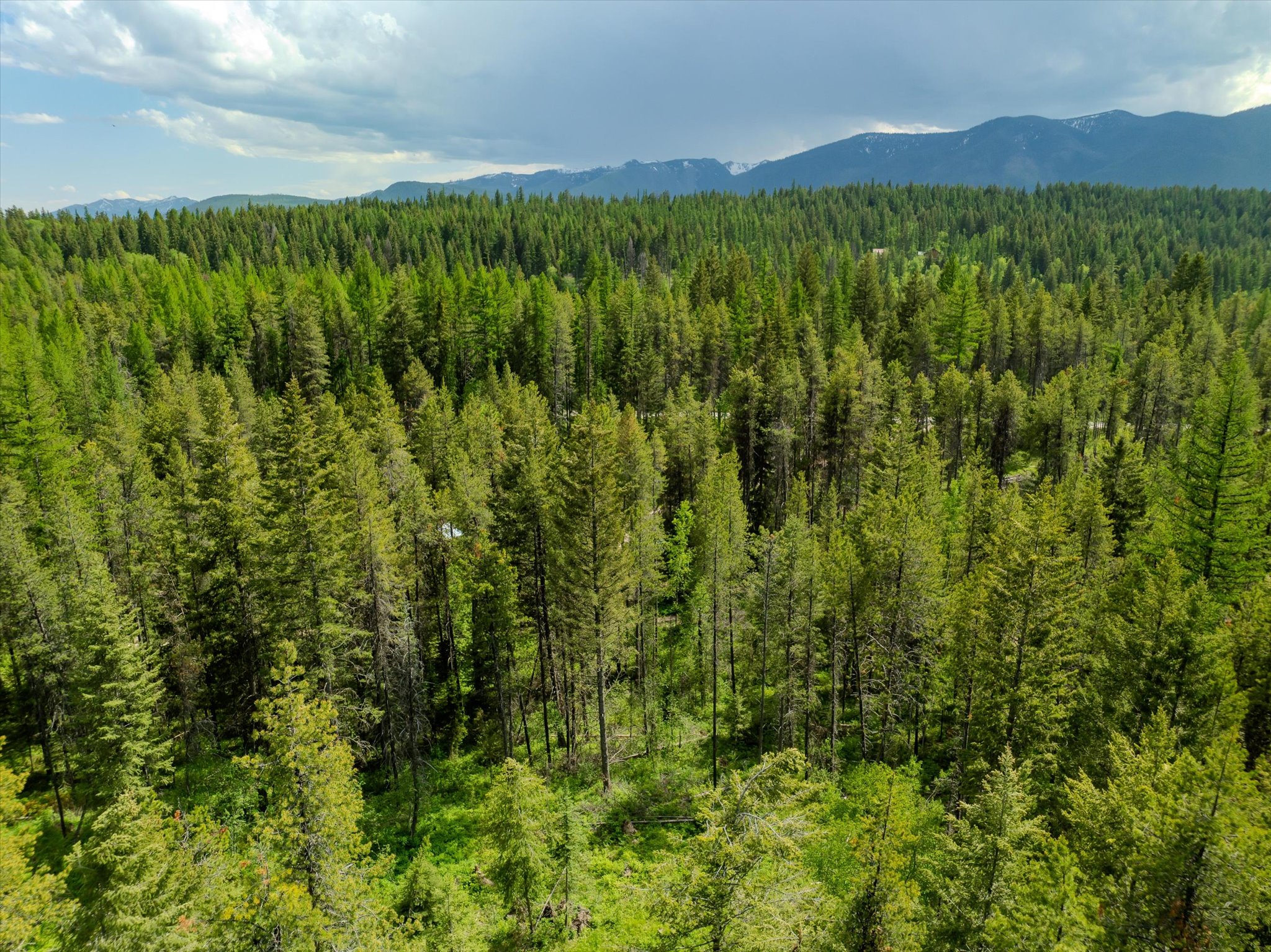 540 Seville Lane Property Photo 17