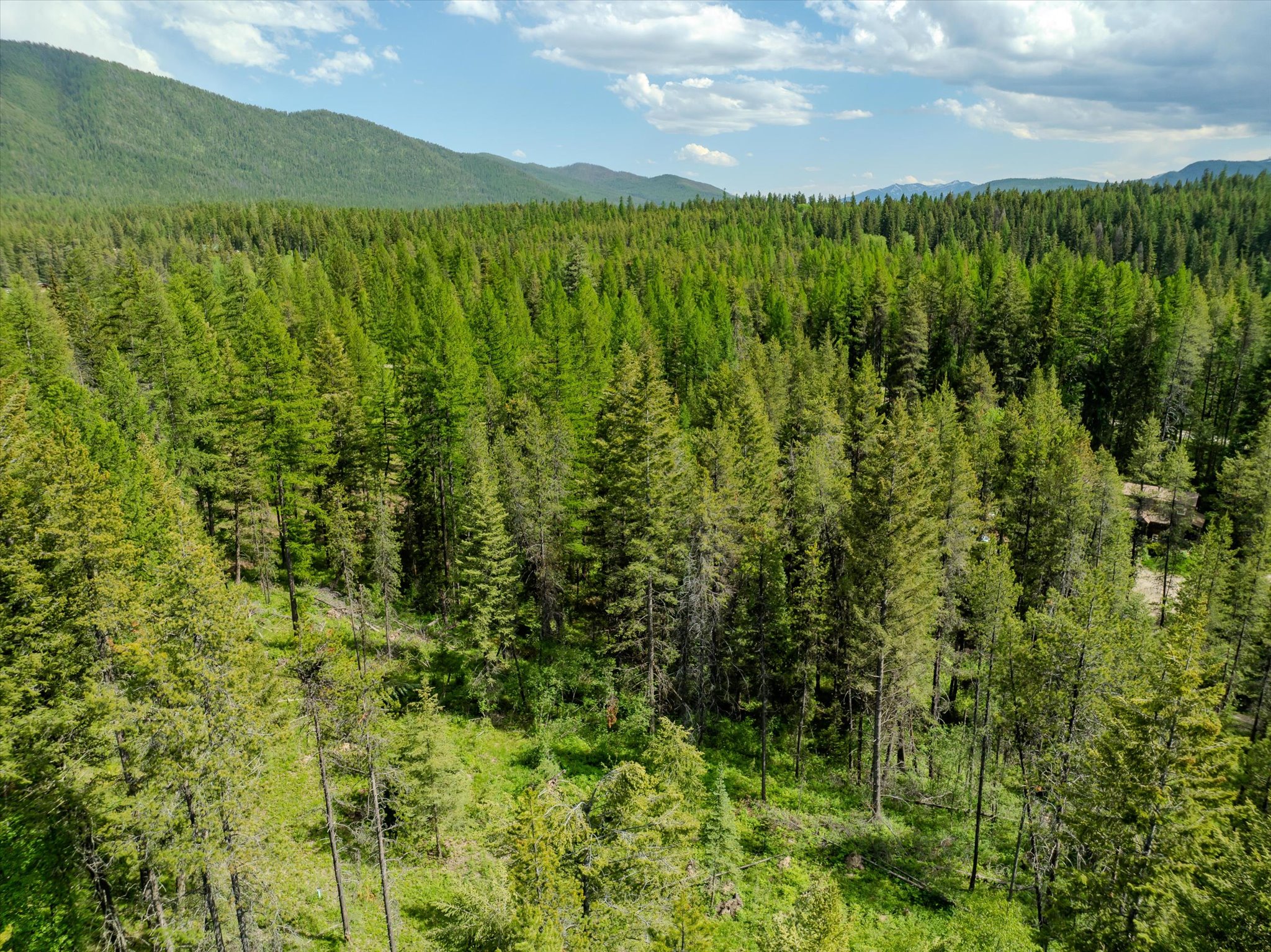 540 Seville Lane Property Photo 18