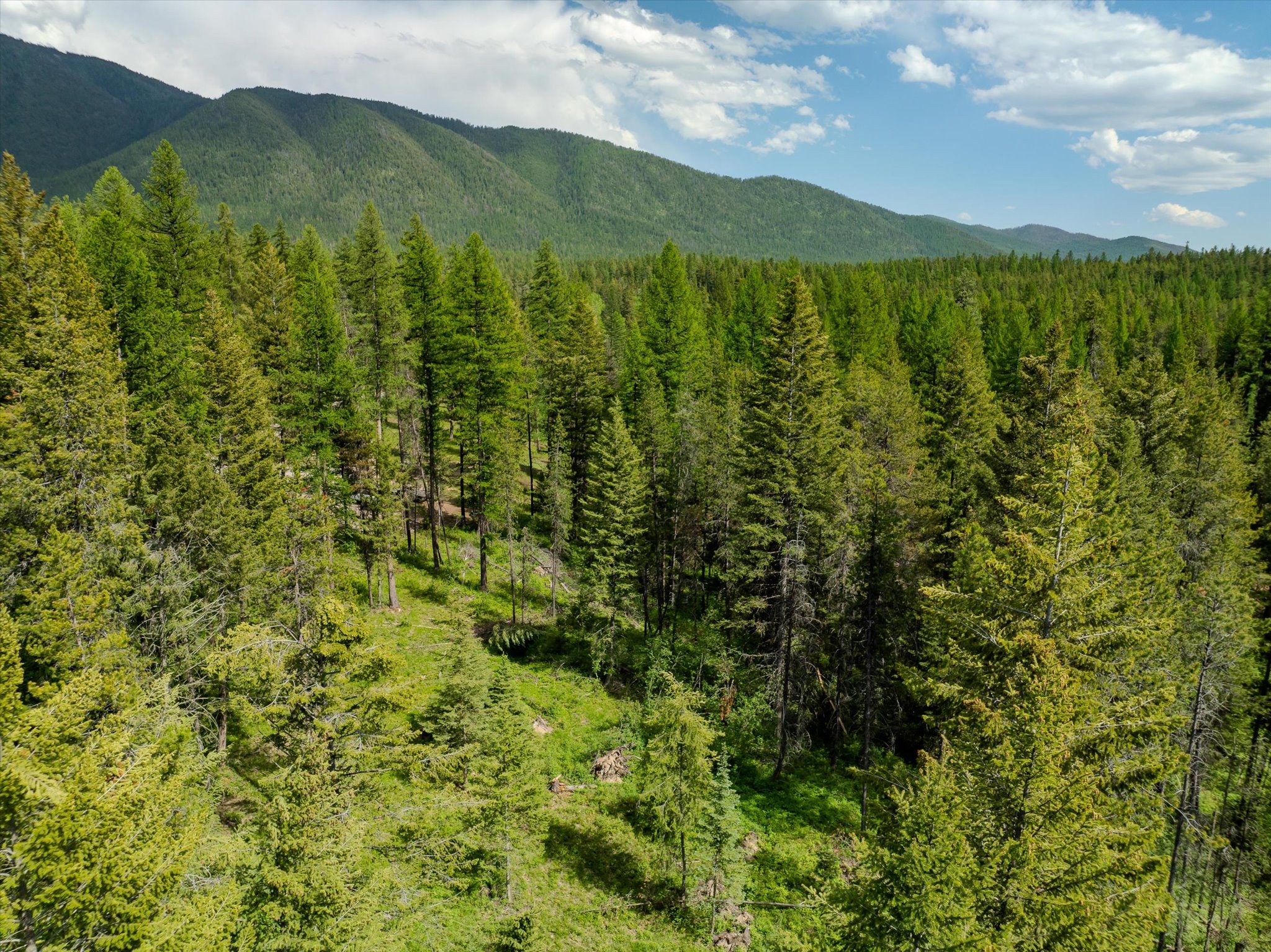 540 Seville Lane Property Photo 19