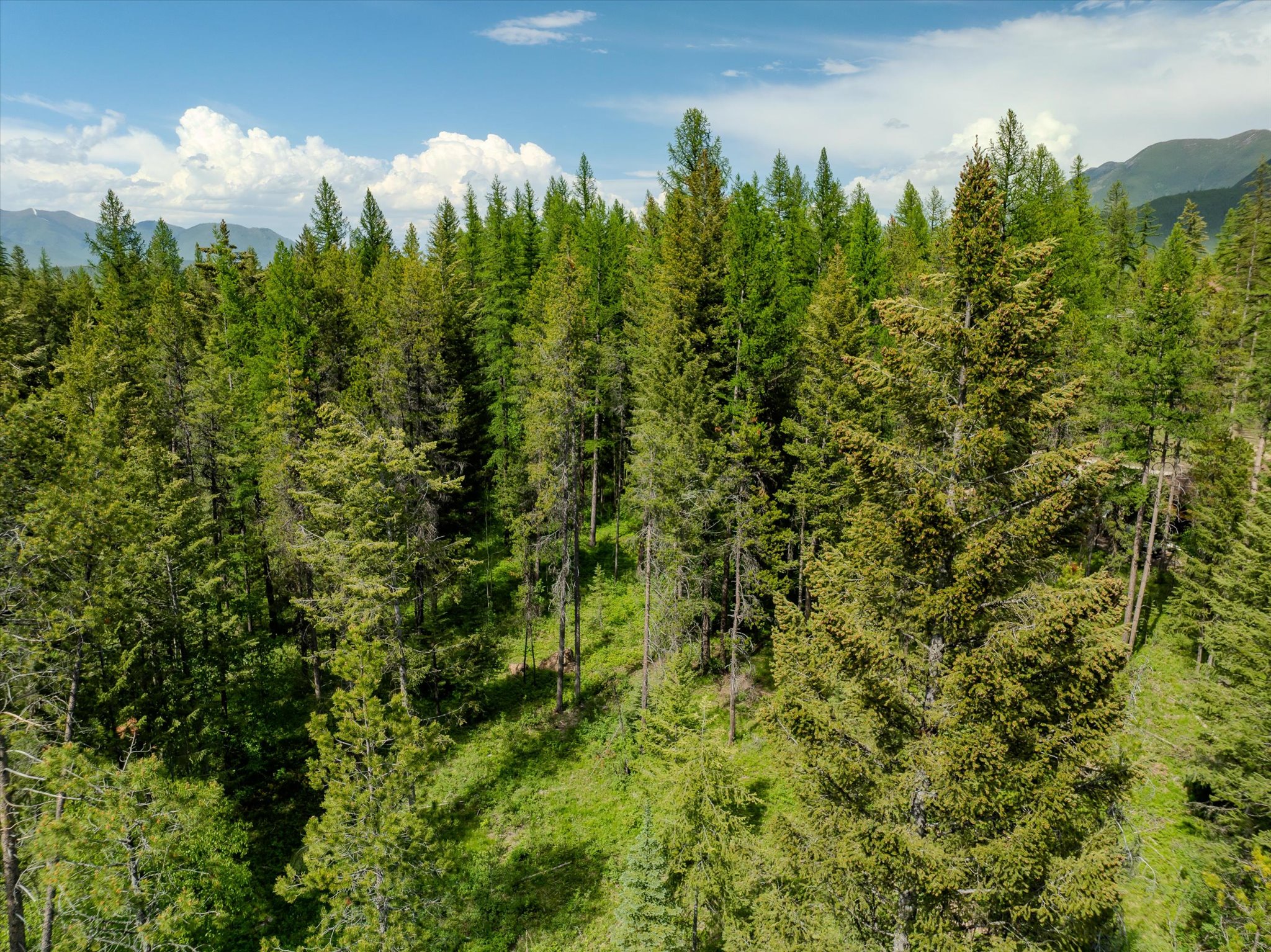 540 Seville Lane Property Photo 21