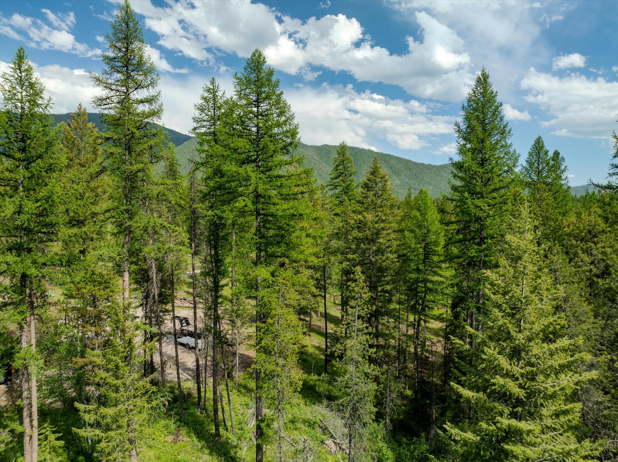 540 Seville Lane Property Photo 22