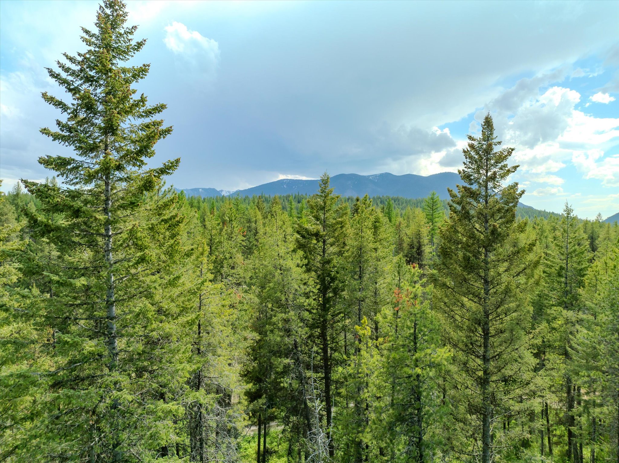 540 Seville Lane Property Photo 23