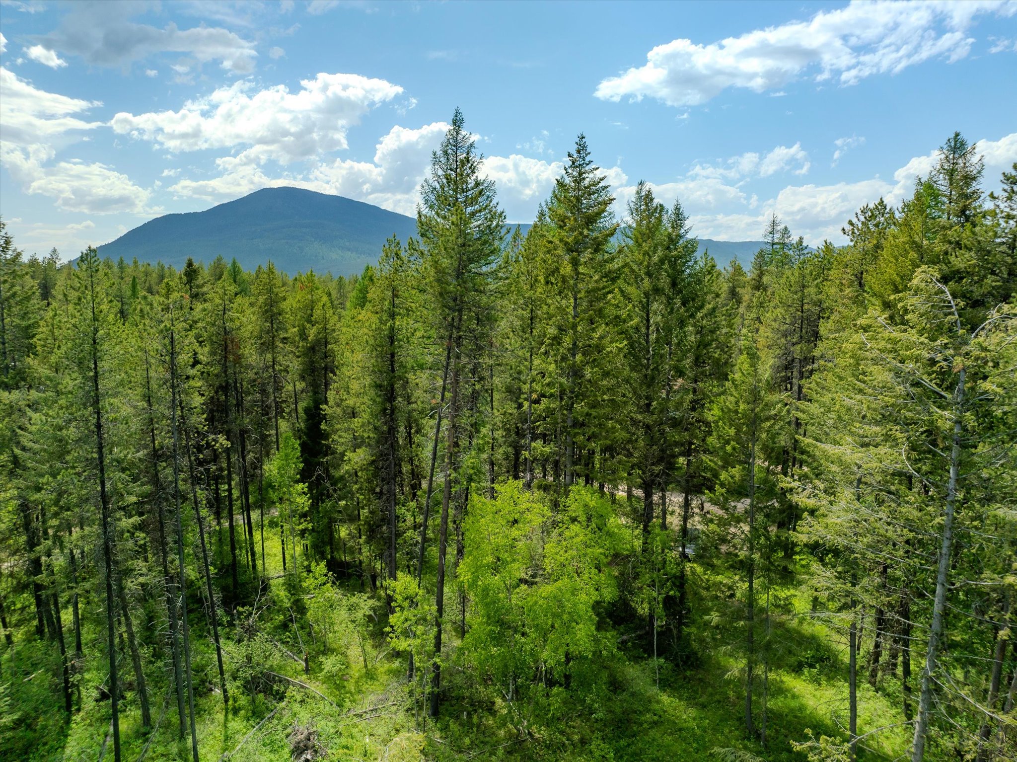 540 Seville Lane Property Photo 24